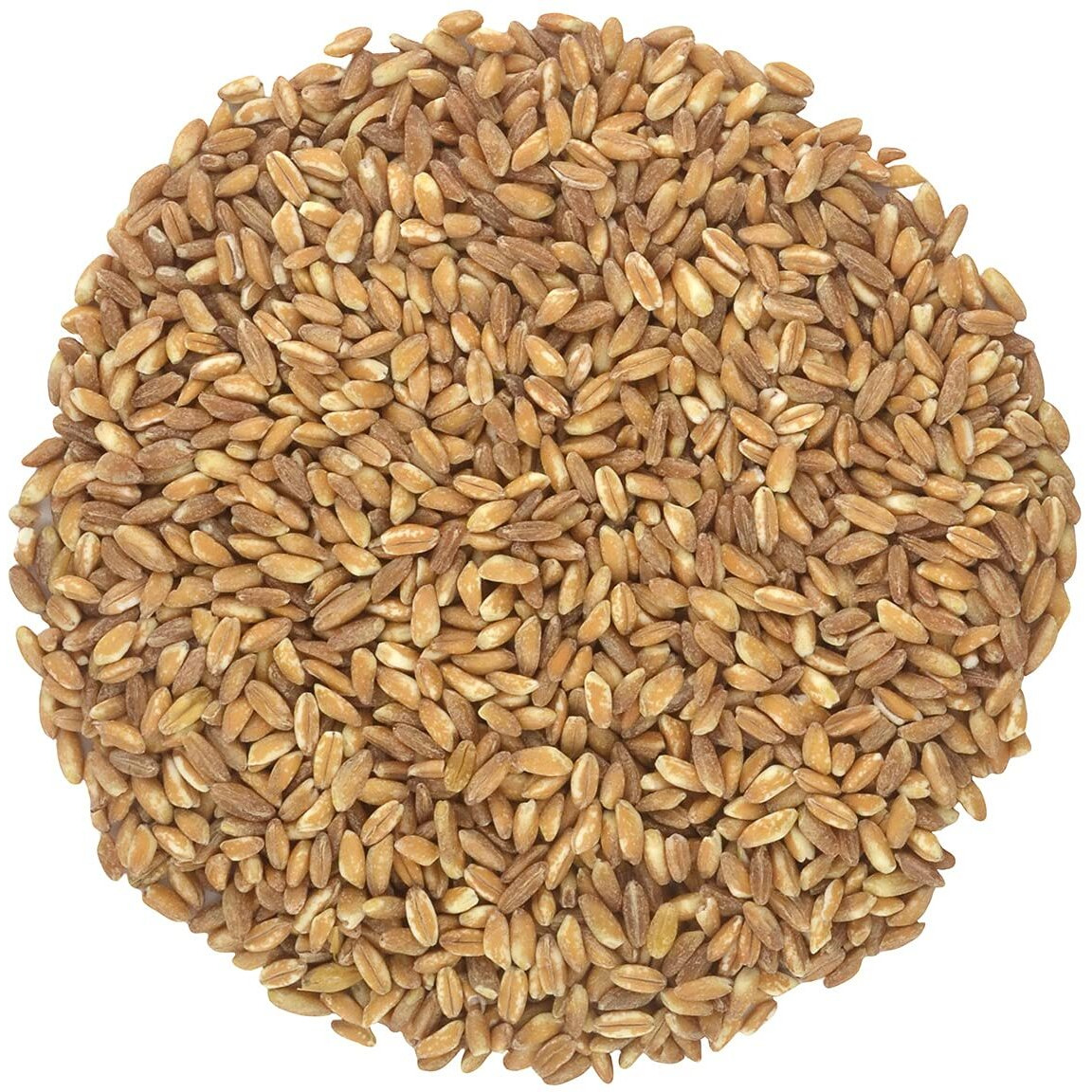 Organic Italian Pearled Farro - Raw, Non-Gmo, Vegan, Bulk, Protein, Fiber Rich (5Lb)