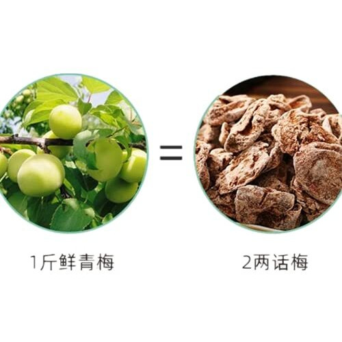 Greenlike Pregnant Women Snacks Plum Meat Seedless Plum Sour Plum Dry Japanese Plum Cake Sweet And Sour Plum Snack Plum Dried Fruit Snacks 6Oz170G        6Oz170G