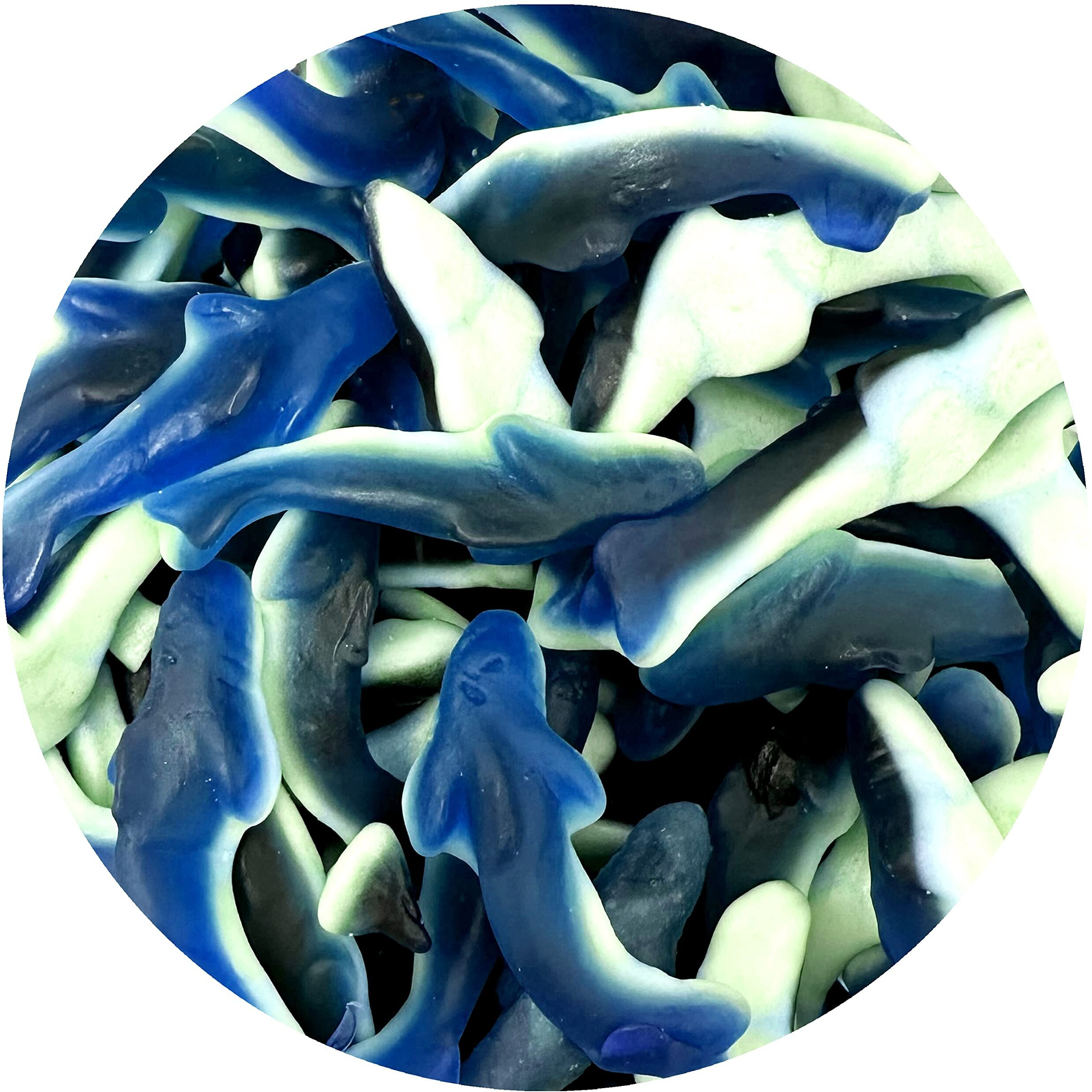 Blue Gummy Sharks Candy, 1 Pound Bulk Bag, The Hampton Popcorn & Candy Company