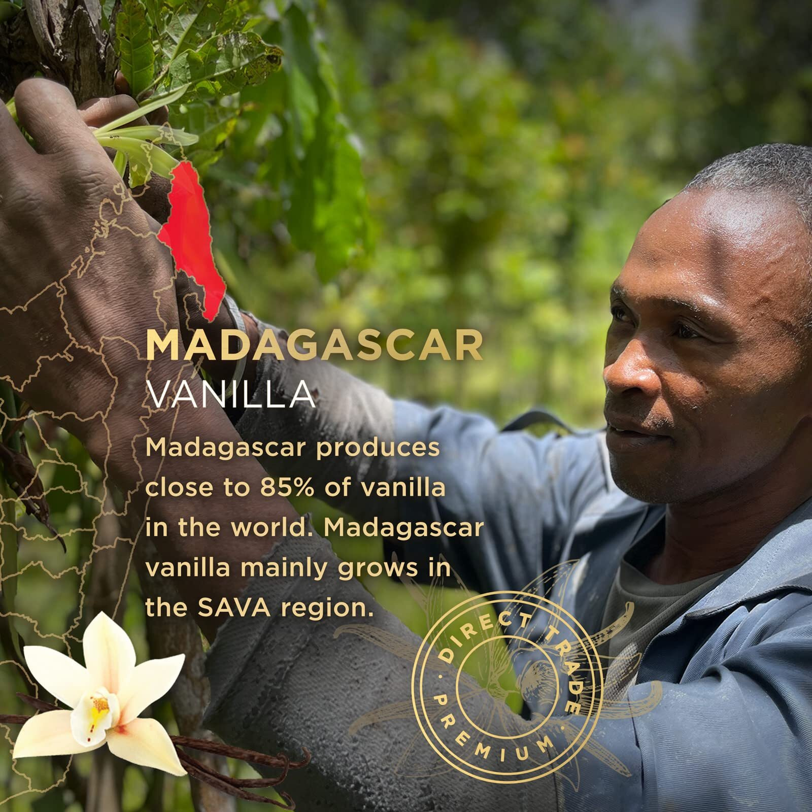 Sava Madagascar Vanilla Extract - 100% Pure Vanilla Extract From High-Quality Madagascar Vanilla Beans - No Sugar Added Gourmet Vanilla Extract - Baking Supplies (4 Oz)
