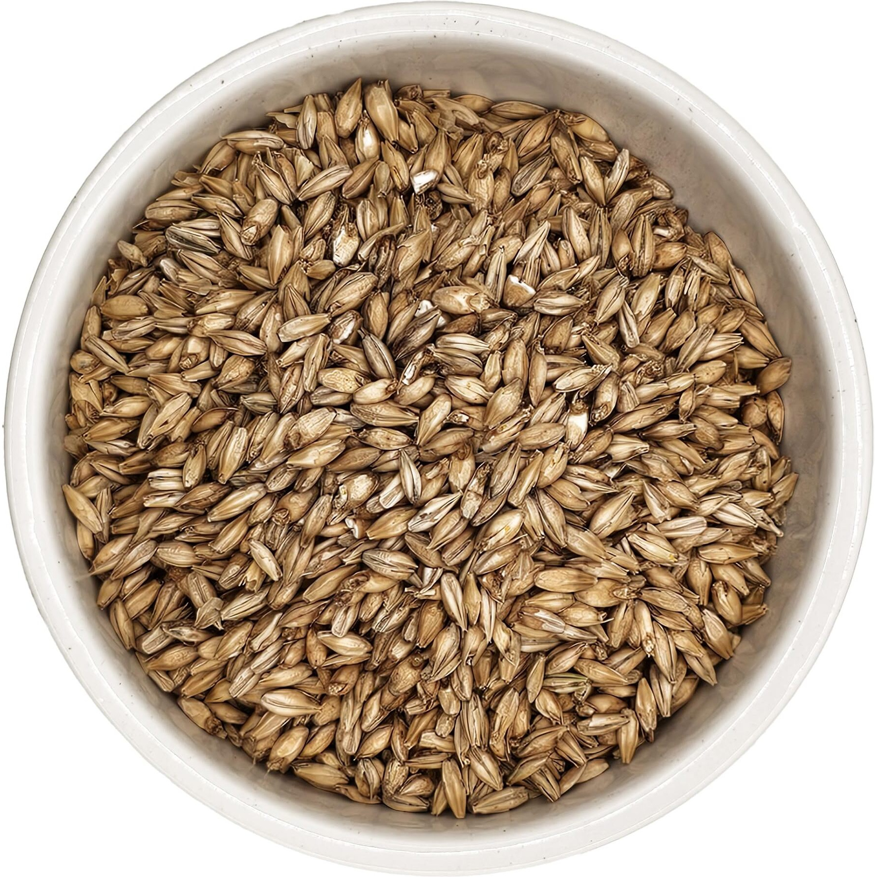 Briess 2-Row Distiller's Malt 2.4L - 10 Lb (1880B)