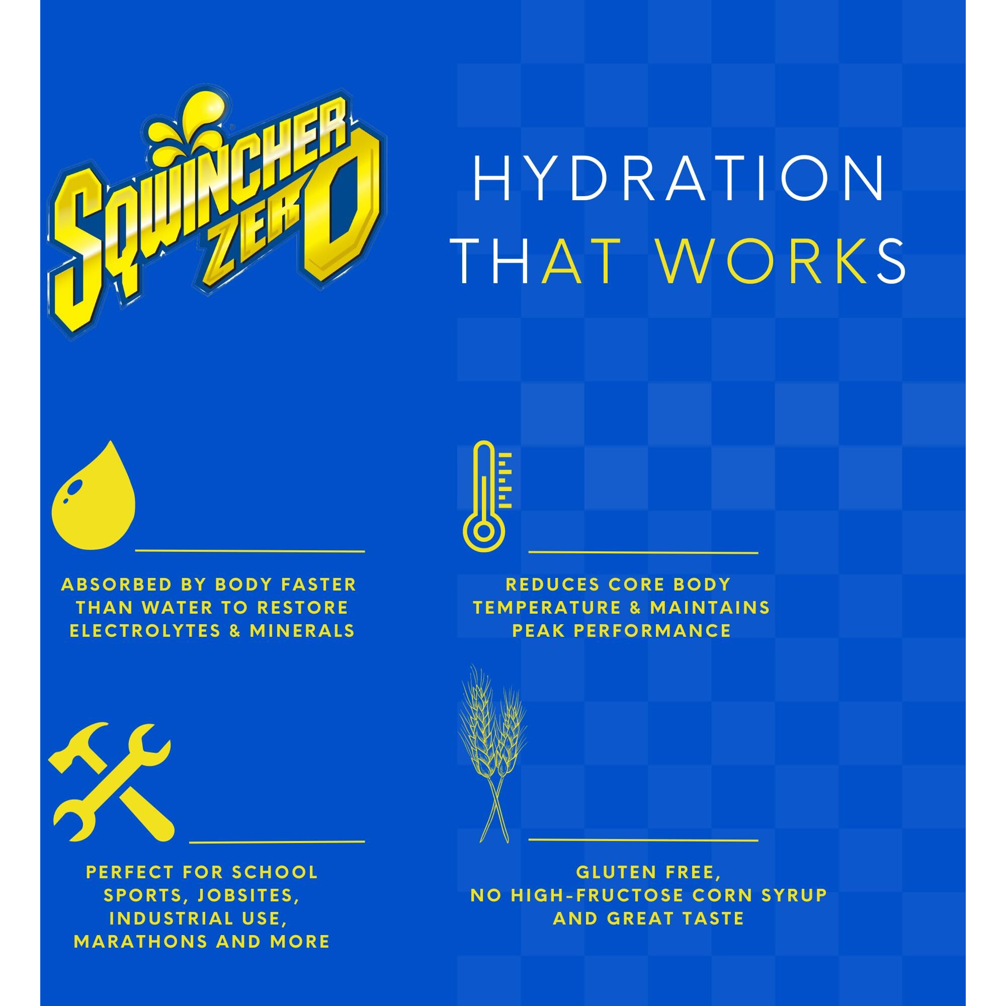 Sqwincher Qwik Stick .11 Ounce Powder Concentrate Sticks Fruit Punch Lite Electrolyte Drink - Yields 20 Ounces (50 Each Per Package)