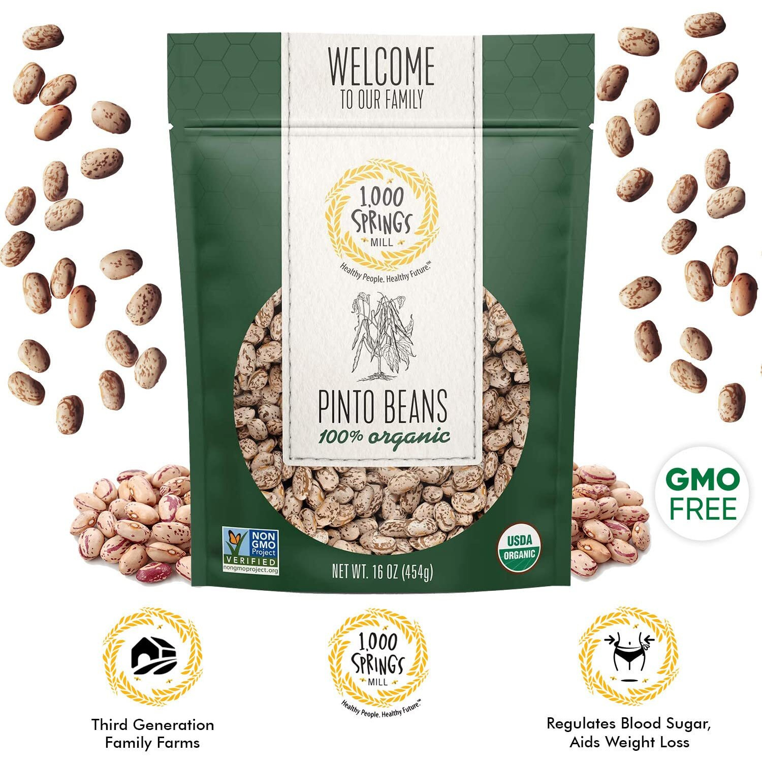 1000 Springs Mill - Organic Pinto Beans | Used For Soups, Stews, Dips, Chili, Burritos, Refried Beans And More | Bulk Dry Brown Beans | Resealable Bag | Vegan Friendly | 16Oz (Pack Of 1)