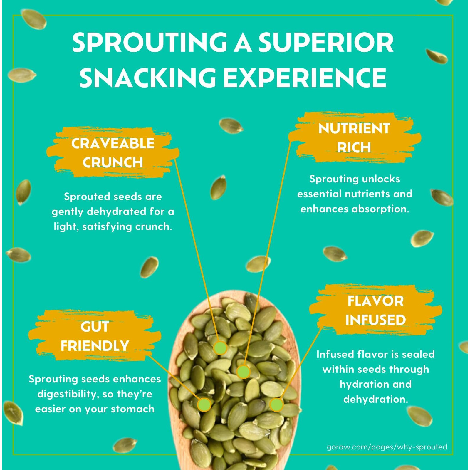 Go Raw Organic Sprouted Sweet & Salty Kettle Snacking Seeds, 4 Oz, 6 Pack, Pumpkin & Sunflower Seeds, Keto, Kosher