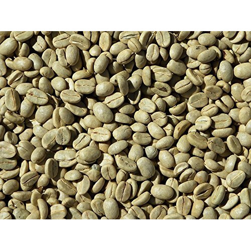 Good Times Coffee Co. Green Unroasted Coffee Beans, Costa Rican Tarrazu (1 Pound)
