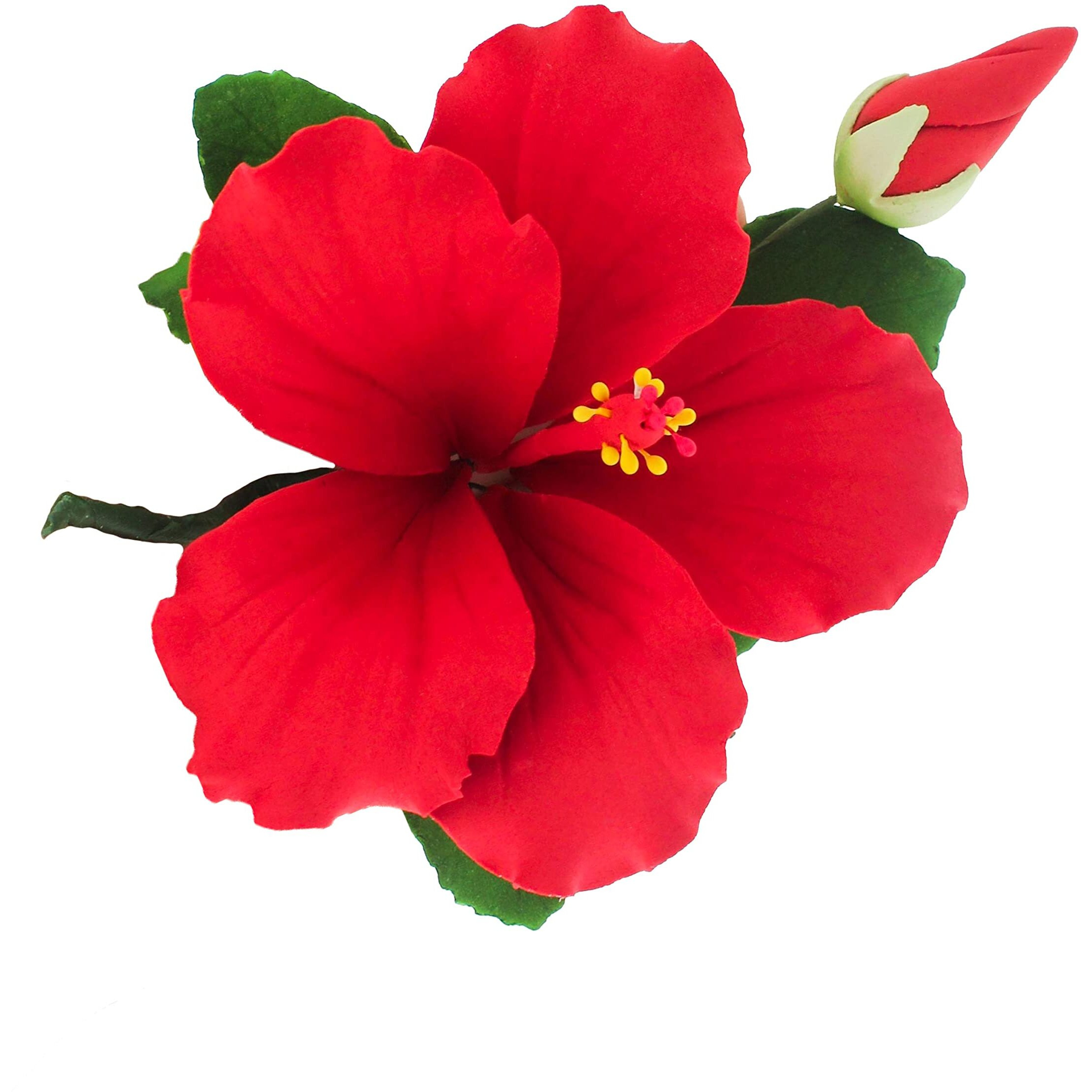 Global Sugar Art Hibiscus Sugar Cake Flowers Spray, Red Hawaiian Cake Flower Large, 1 Count By Chef Alan Tetreault