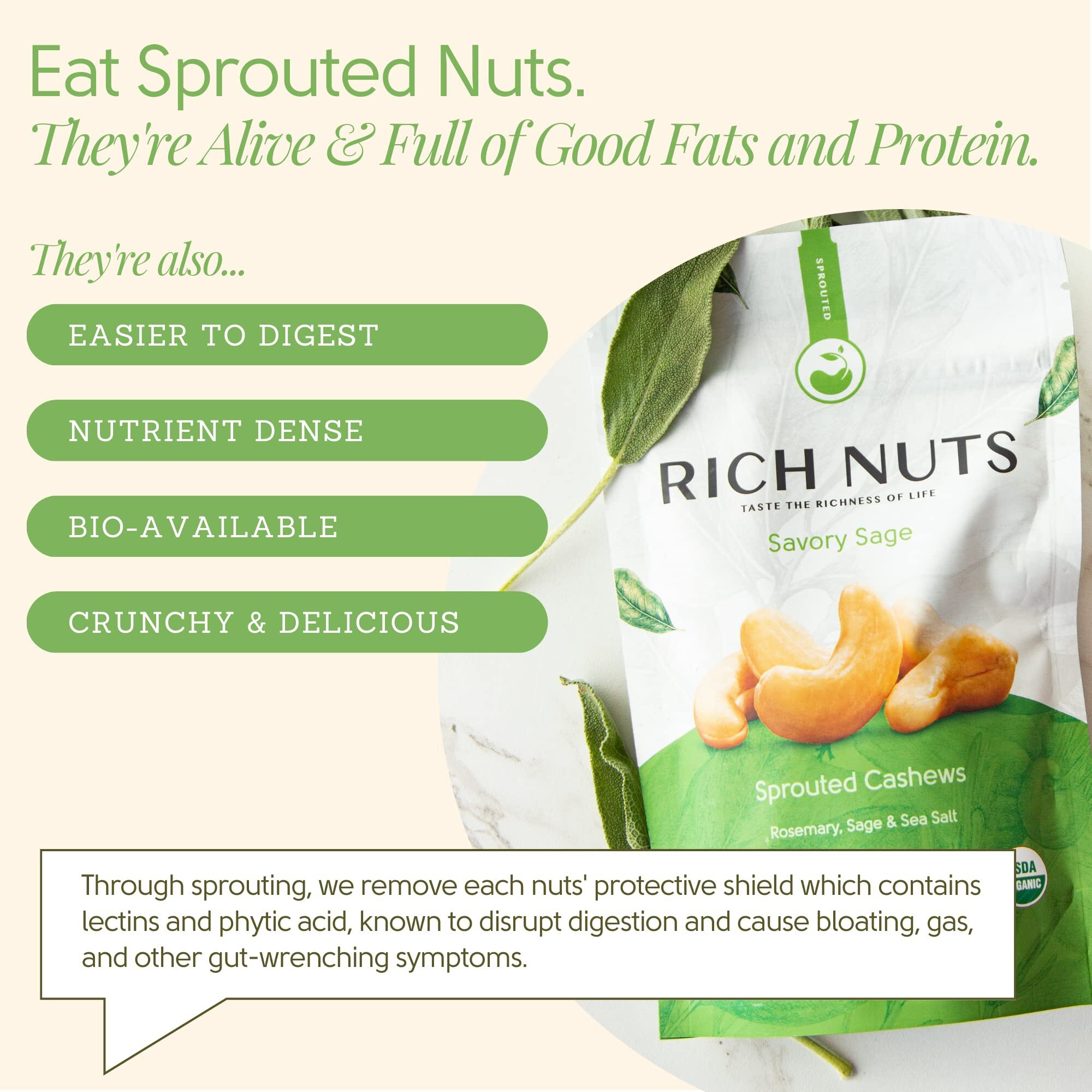 Rich Nuts Savory Sage Gourmet Sprouted Cashews | Vegan, Paleo, Keto | Made With Organic Rosemary, Sage, And Sea Salt | Non-Roasted From Dehydrated Germinated Raw, Whole Cashews | 5 Oz Bag (2 Pack)