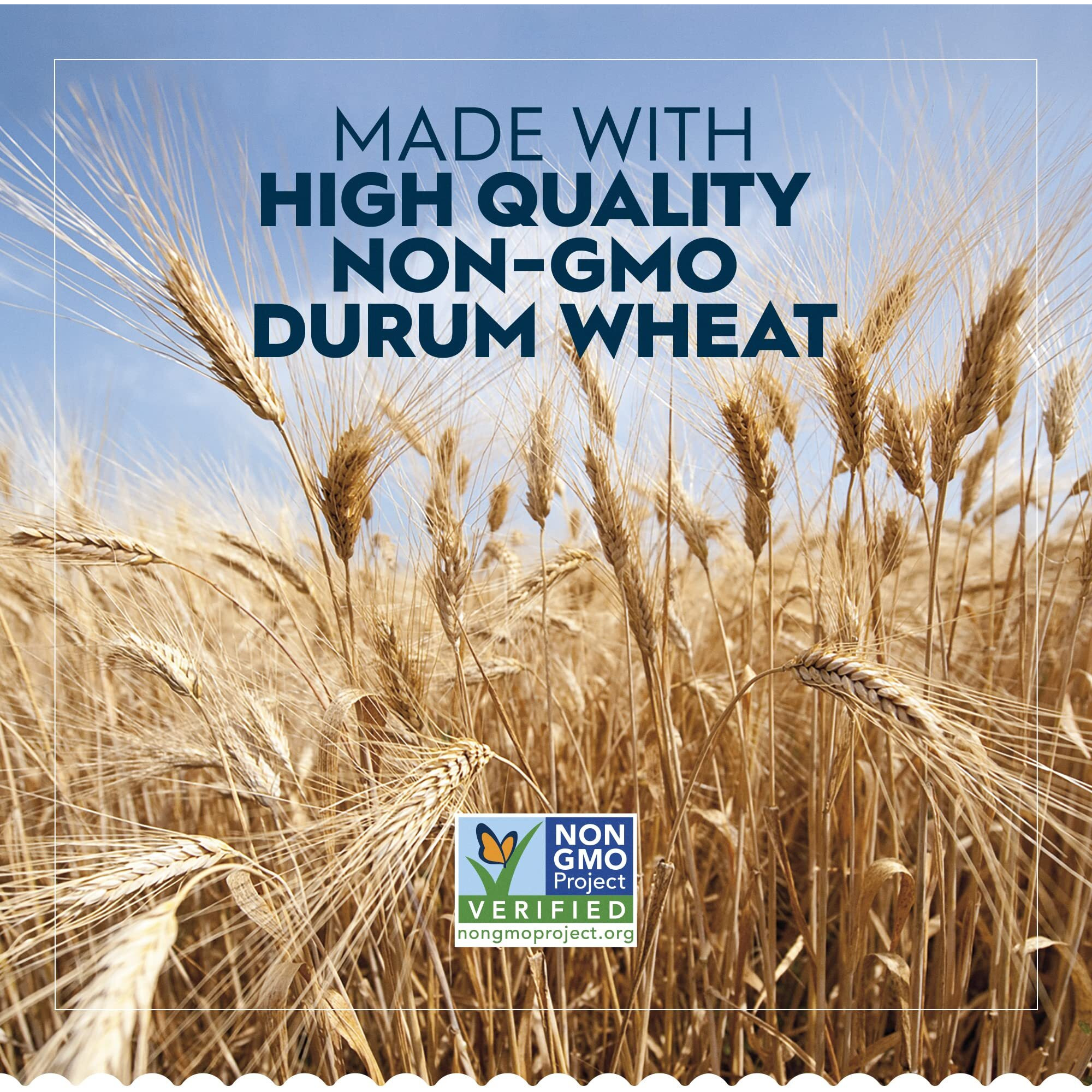 Barilla Linguine Pasta, 160 Oz. Bag - Non-Gmo Pasta Made With Durum Wheat Semolina - Kosher Certified Pasta