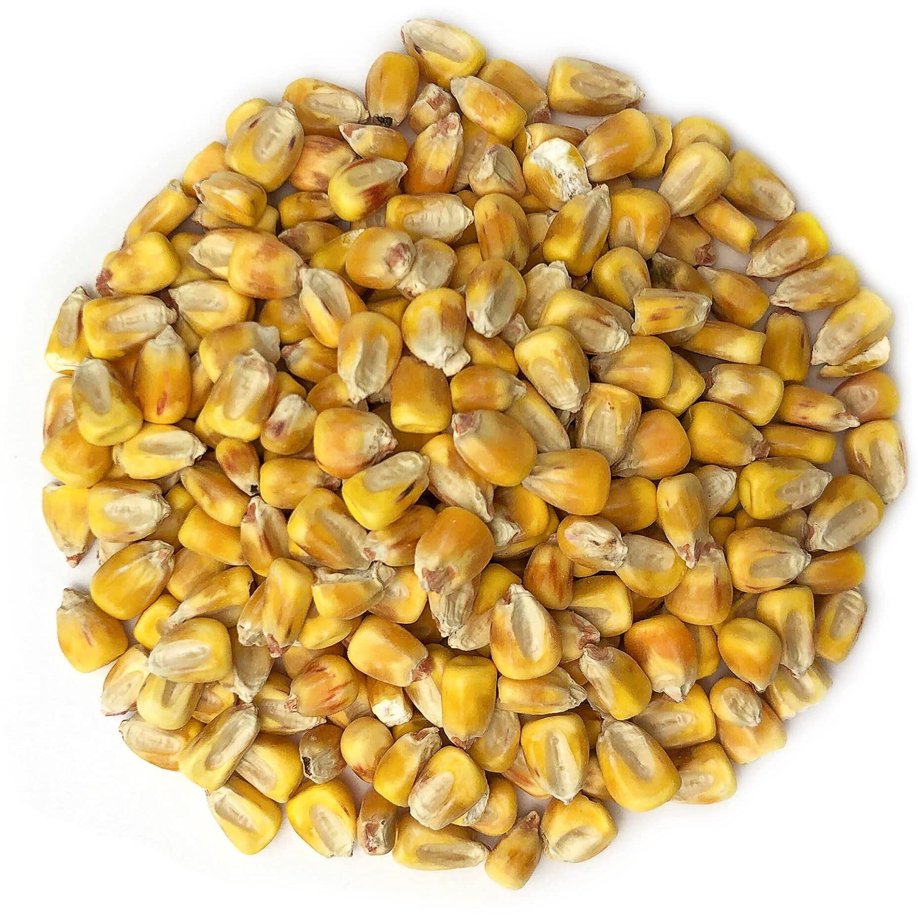 Food To Live Organic Yellow Whole Corn, 3 Pounds - Non-Gmo Maize, Cleaned And Dried Kernels, Vegan, Kosher, Bulk Cereal Grain, Good Source Of B Vitamins, Thiamin, And Folate