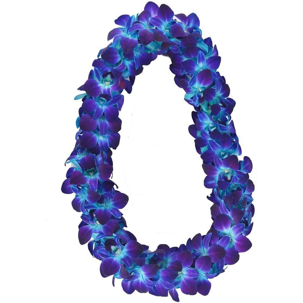Miami Fresh Orchid Flower Orchidclub Usa Sunne Tropical Loose Bloom Diy Lei, Food & Drink Decoration (50 Blue)