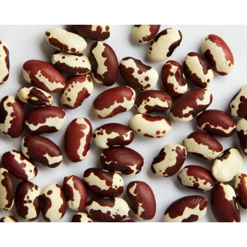 Zursun Heirloom Dry Anasazi Beans 24 Oz Each (2-Pack)