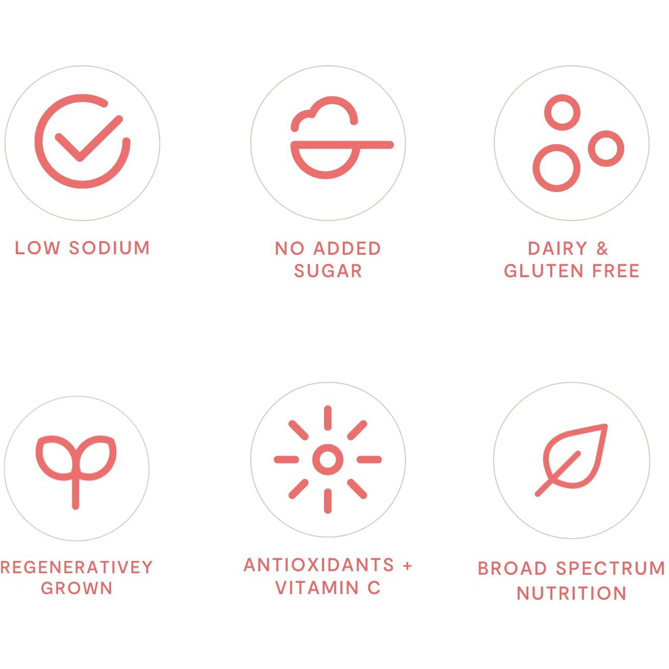 Tomato Bliss Variety Pack Heirloom Tomato Soup, All Natural, Non-Gmo, Vegan, Dairy-Free, No Added Sugar, Healthy Tomato Soups, High In Vitamin C And Antioxidants (16 Oz, 4-Pack)