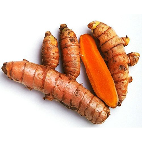 Fresh Wild Turmeric & Ginger Combo 1Lb Each By Nine Shani (5Lb)