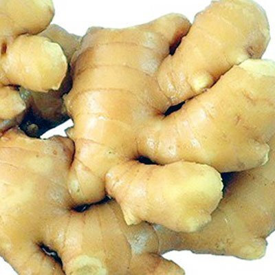 Fresh Wild Turmeric & Ginger Combo 1Lb Each By Nine Shani (5Lb)