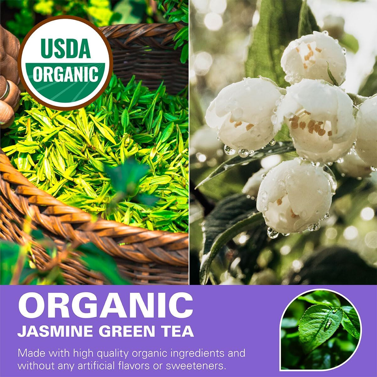 Wt Weetee Organic Jasmine Green Tea Loose Leaf, Usda Organic Green Tea Scented With Jasmine Blossoms, No Artificial Flavors, 16 Ounce, Great Natural Energy Source