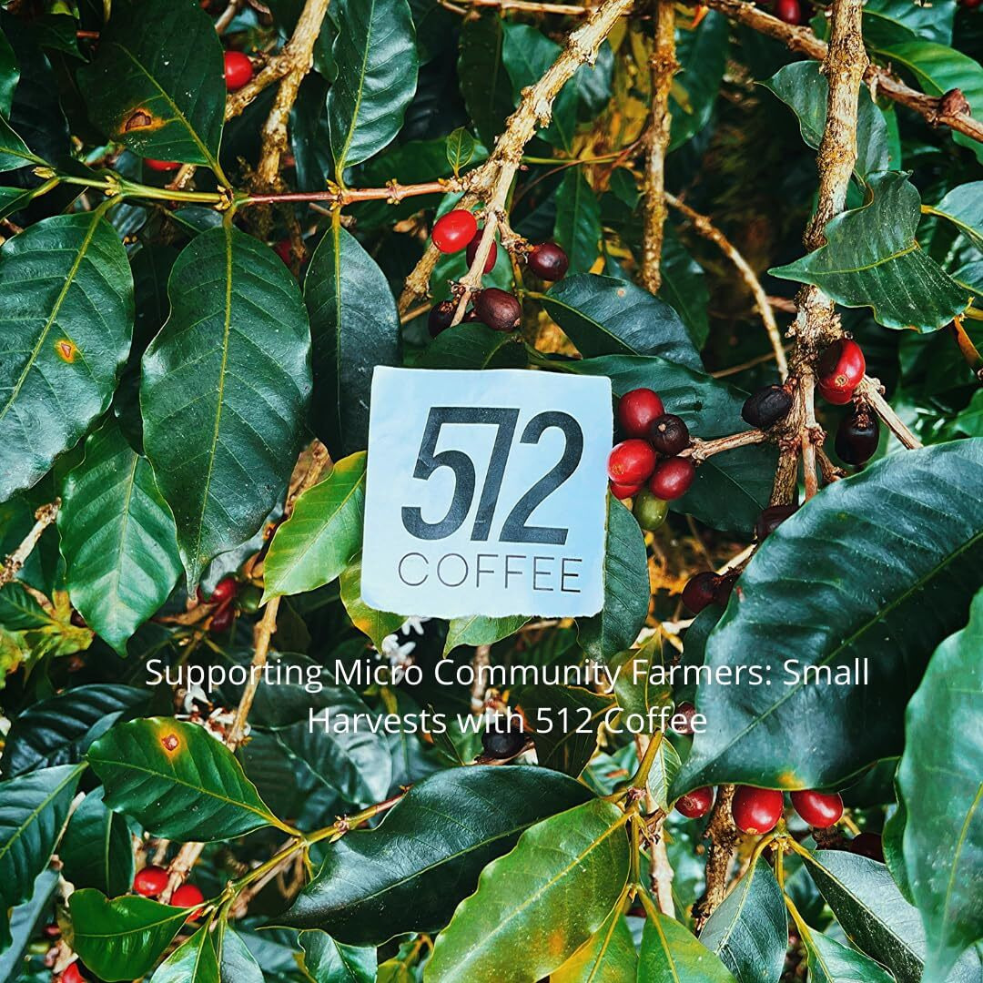 Light Roast Whole Coffee Bean - Qgs 87.75 | Specialty Fresh Roasted Single Origin Ethiopian Yirgacheffe Coffee Premium, Gourmet, Washed, Filter | Flavored Notes Of Honey, Raspberry, Floral