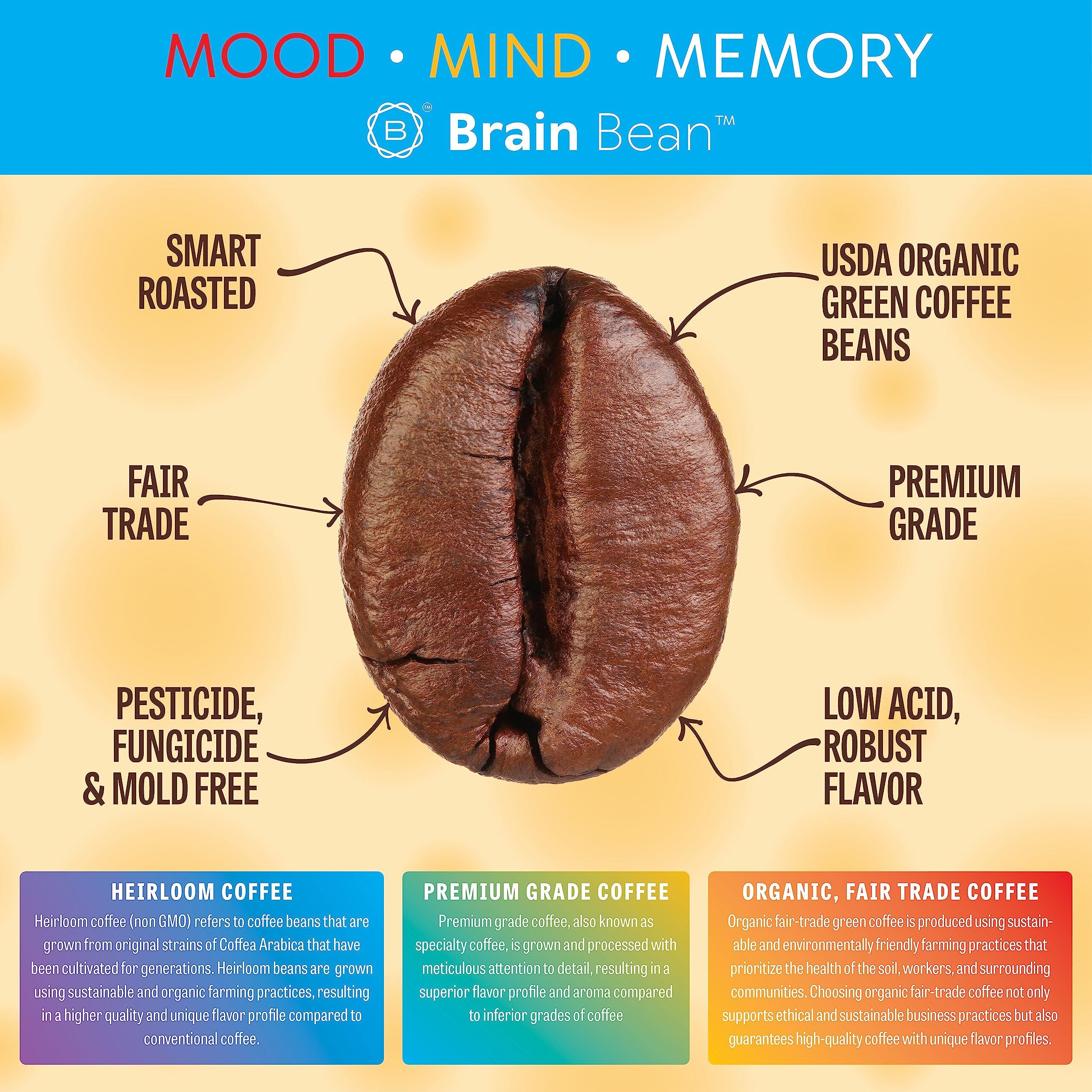 Brain Bean Organic Coffee - Smooth Taste, Antioxidant Rich & Fair Trade - Whole Bean Medium Roast 16 Oz (3 Pack)