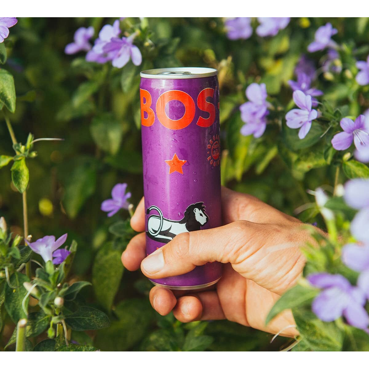 Bos Rooibos Iced Tea Berry | 24X (6X 10.1 Oz Cans) | Organic, Caffeine Free, Naturally Sweet, Antioxidant-Rich, Herbal, Red Rooibos Tea | From South Africa