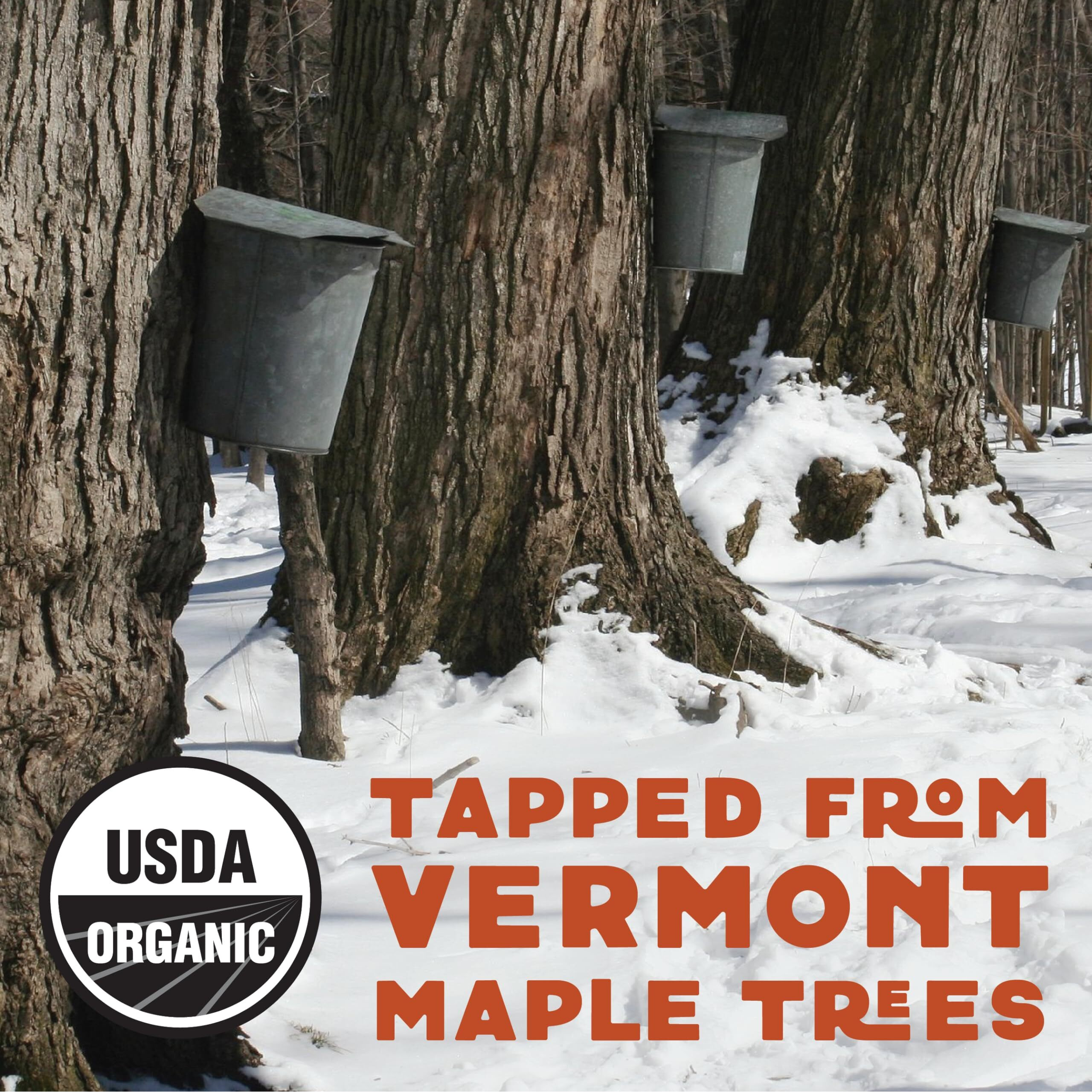 Wilderness Poets Organic Maple Sugar Crystals (32 Ounce - 2 Pound)