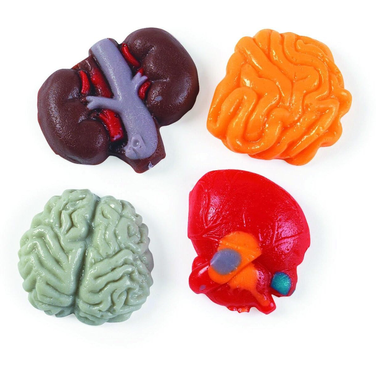 Halloween Organ Harvest Gummy Candy, 1 Lb Package, Brains And Guts Gummies, Great For Halloween Parties, Trick Or Treat Bags And Trunk Or Treat Events