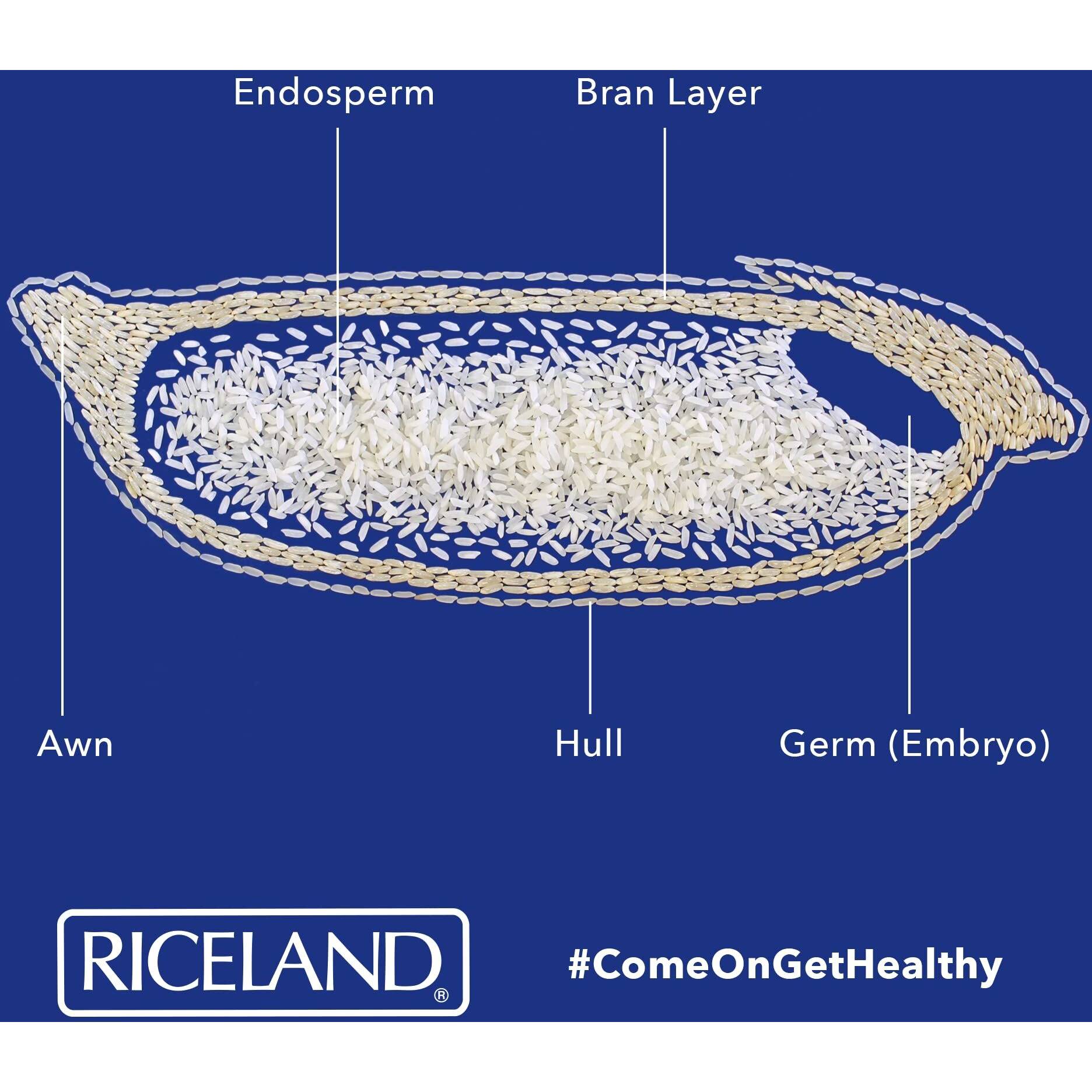 Riceland Long Grain White Rice, 2Lb, Pack Of 3
