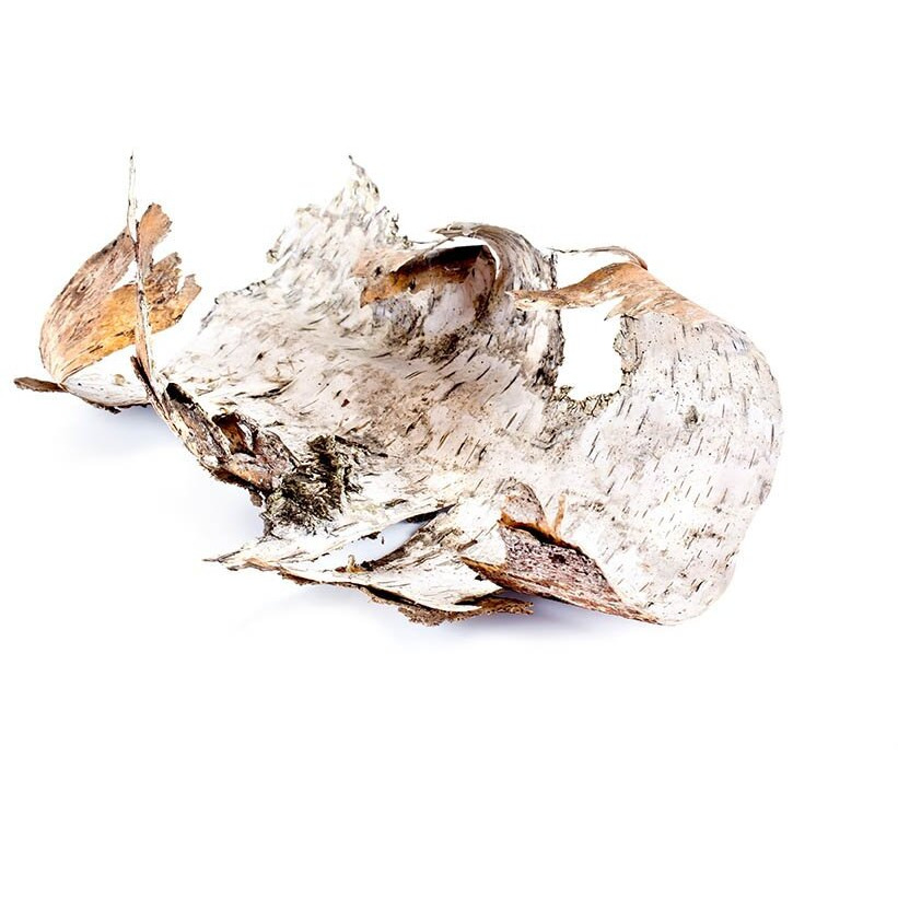 Biokoma Pure And Natural Birch Bark Dried Cut 100G (3.55Oz) In Resealable Moisture Proof Pouch - Herbal Tea, No Additives, No Preservatives, Kosher