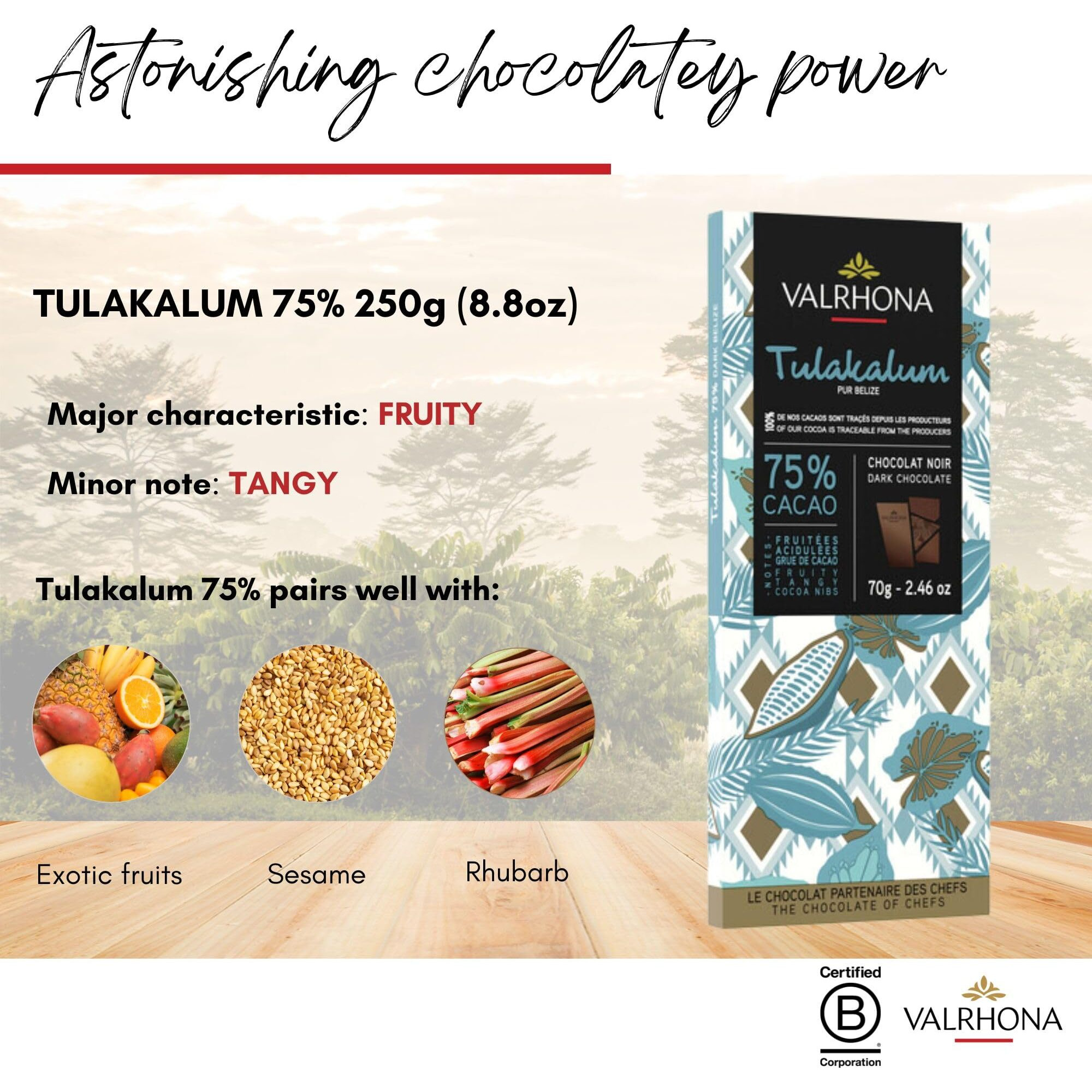 Valrhona Premium Dark Chocolate Tulakalum 75% Cacao Tasting Bars-Single Origin Belize Gourmet French Chocolate Perfect For Baking & Frostings, Cookies, Cakes, & Brownies. Kosher, 70G (Pack Of 3)