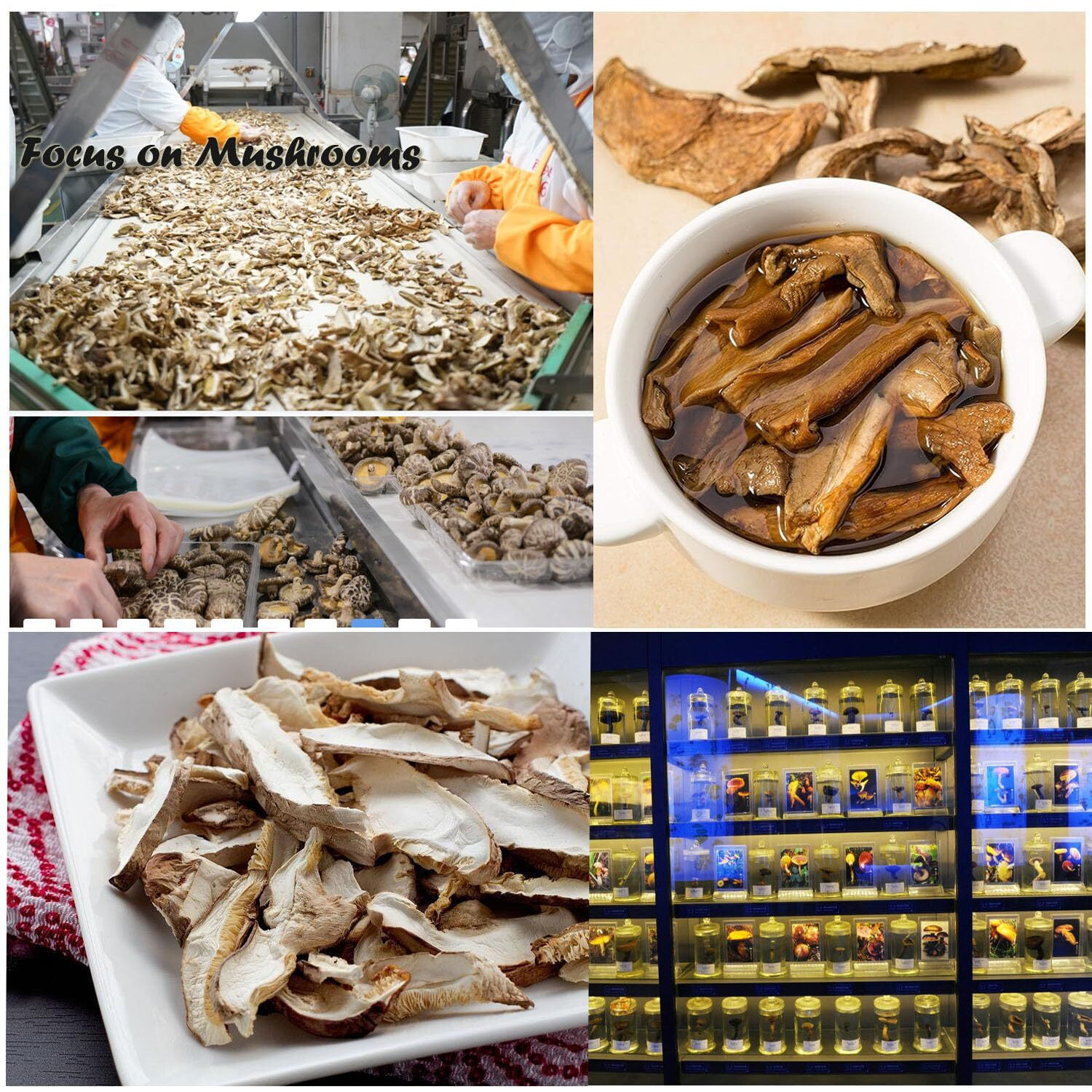 Vigorous Mountains Dried Mixed Mushrooms Blend For Cooking - Porcini Shiitake Oyster & Champignon - 3.53Oz (100G) - Soft Texture Bold Flavor & Vegan - Ideal For Cooking