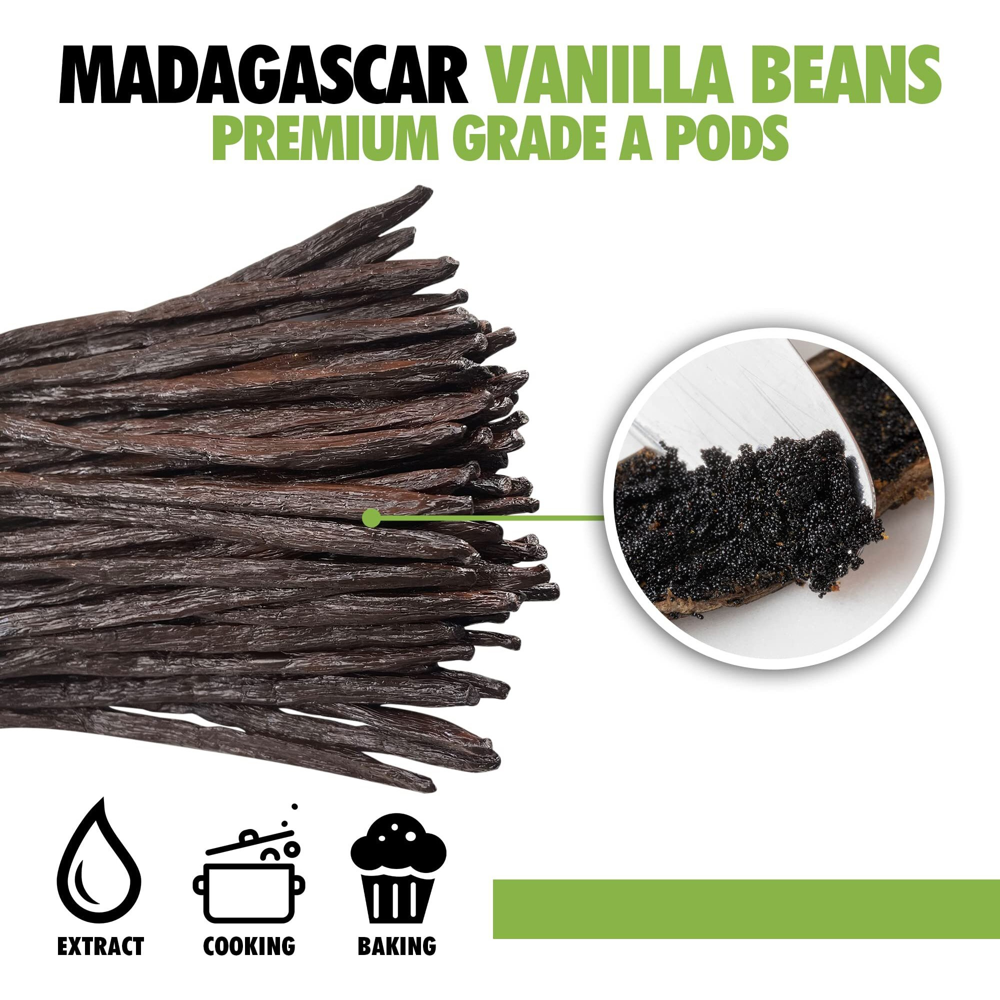 12 Organic Madagascar Vanilla Beans Grade A. Certified Usda Organic 6""-7.5"" By Fitnclean Vanilla For Chefs, Extract, Baking And Essence. Gourmet Bourbon Non-Gmo Whole Pods