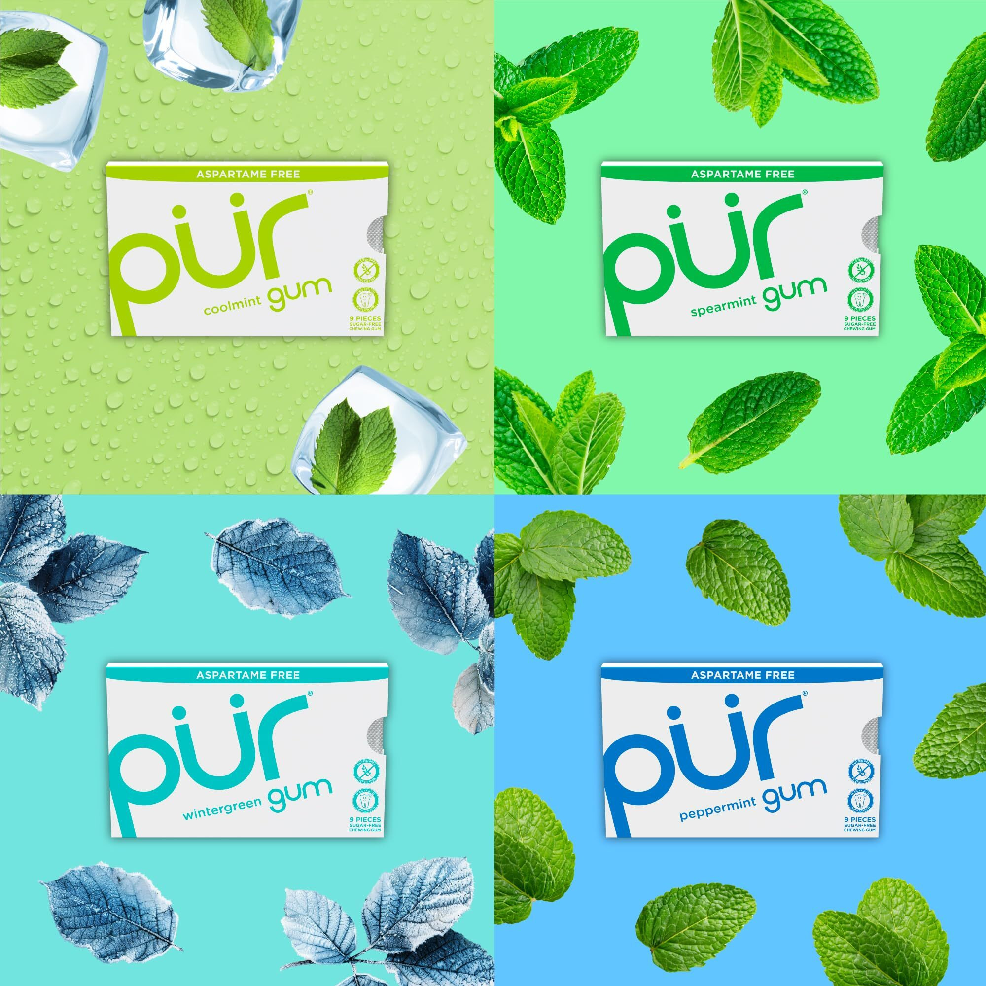 Pur Gum | Aspartame Free Chewing Gum | 100% Xylitol | Natural Flavored Gum, Variety Pack, 9 Pieces (Pack Of 8)