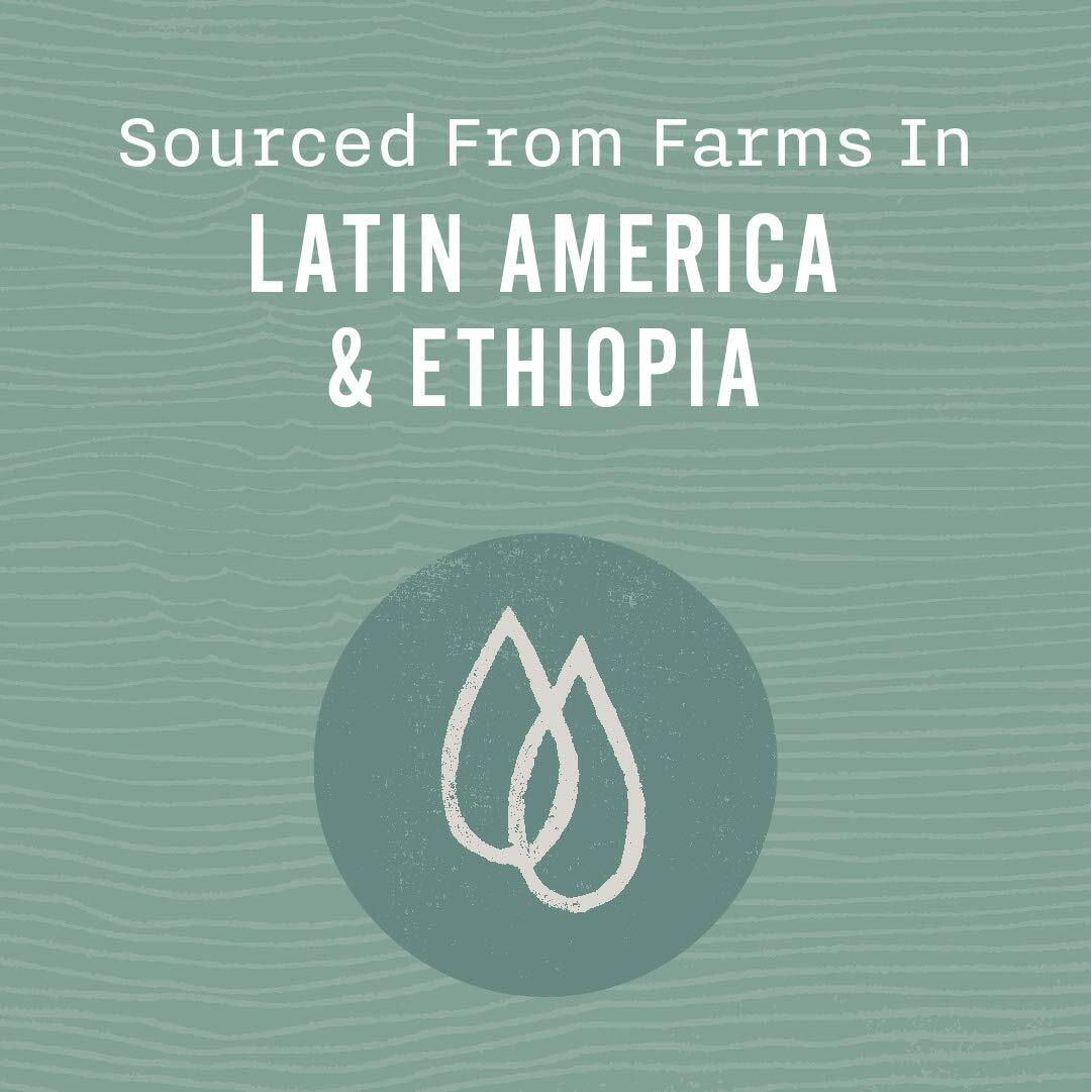 Allegro Coffee Decaf Organic Espresso Bel Canto Whole Bean Coffee, 12 Oz