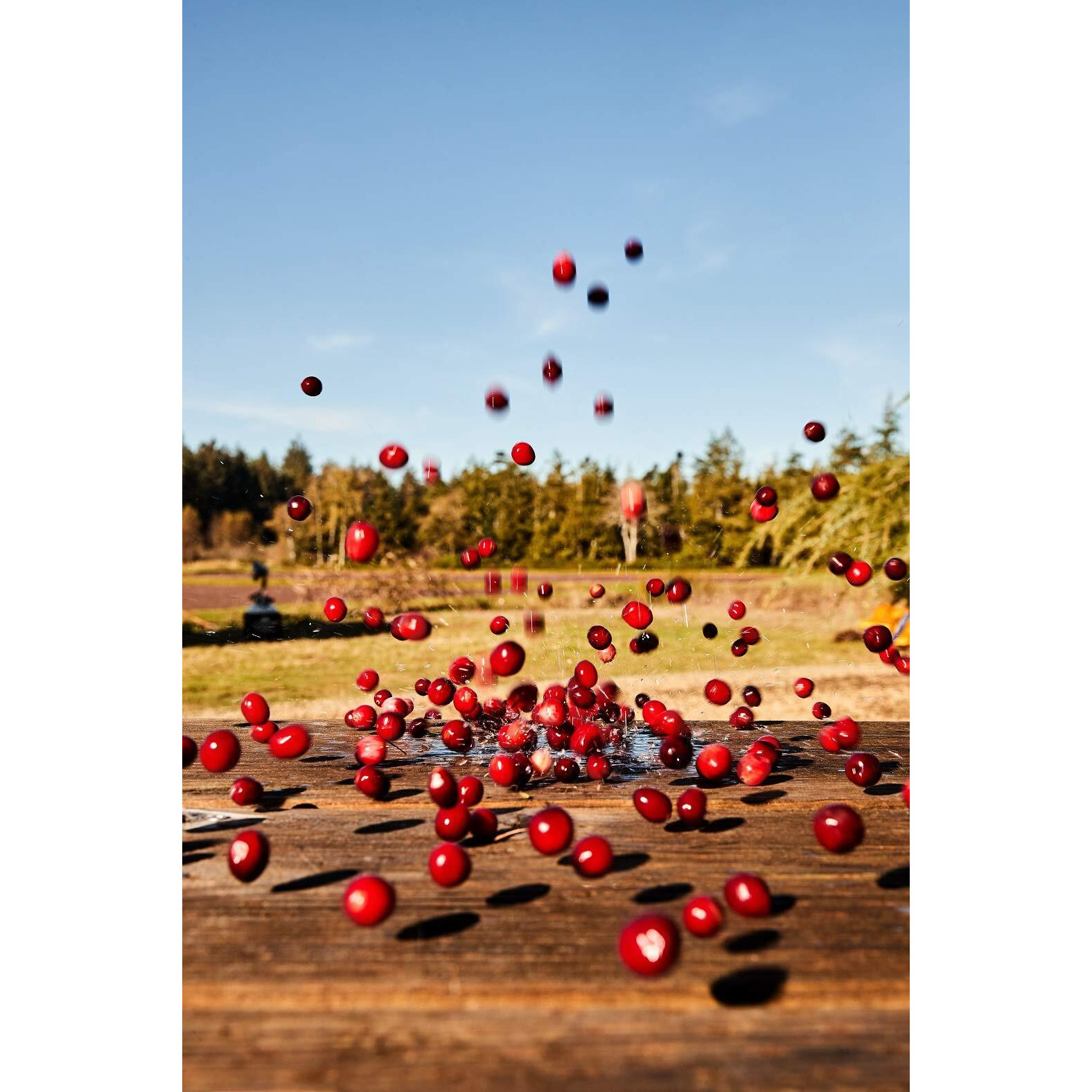 Ocean Spray Cran50 Cranberry Juice Drink, 101.4 Fl Oz Bottle (Pack Of 6)