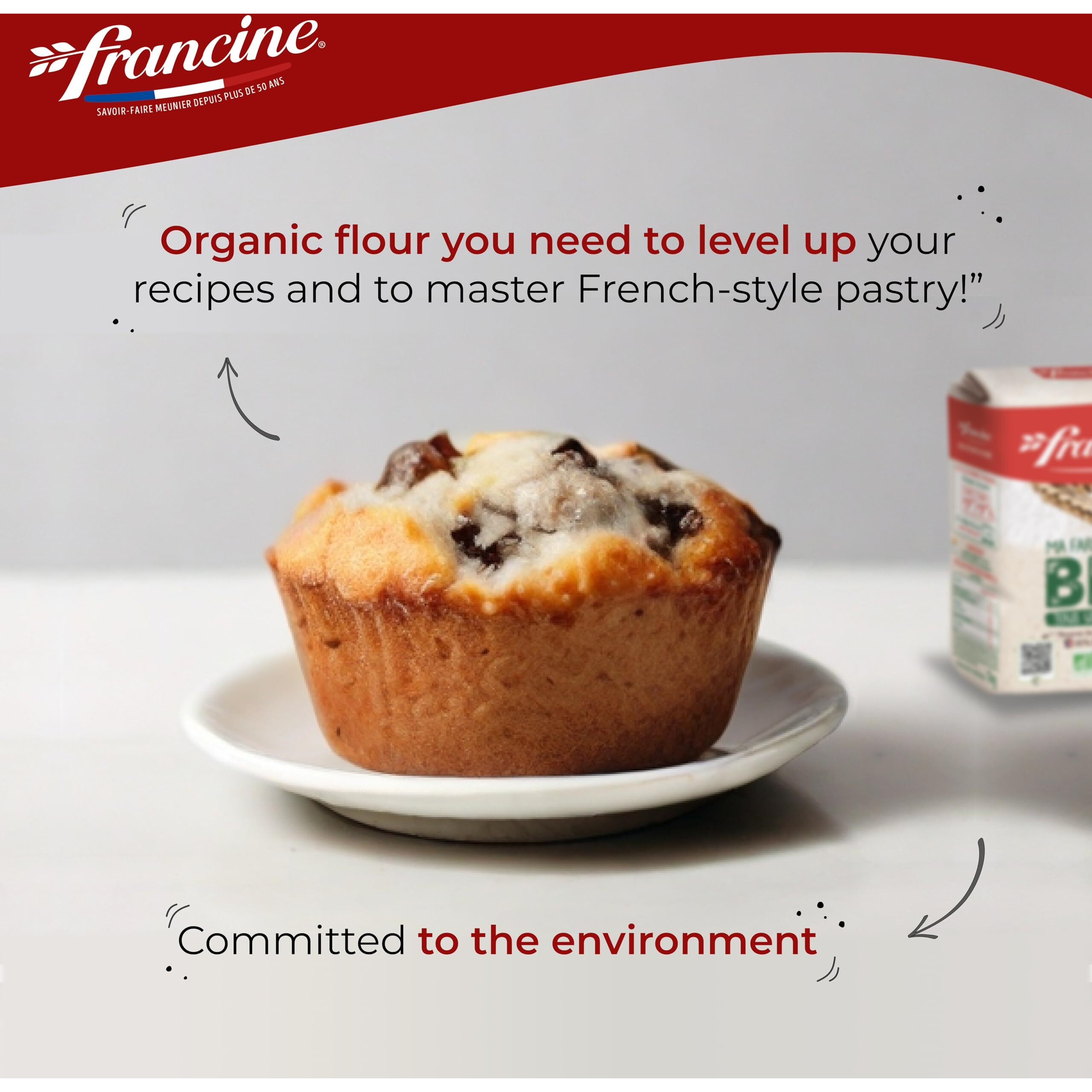 Francine Farine De Ble Bio - French All Purpose Organic Wheat Flour - 2.2 Lbs (Pack Of 2)