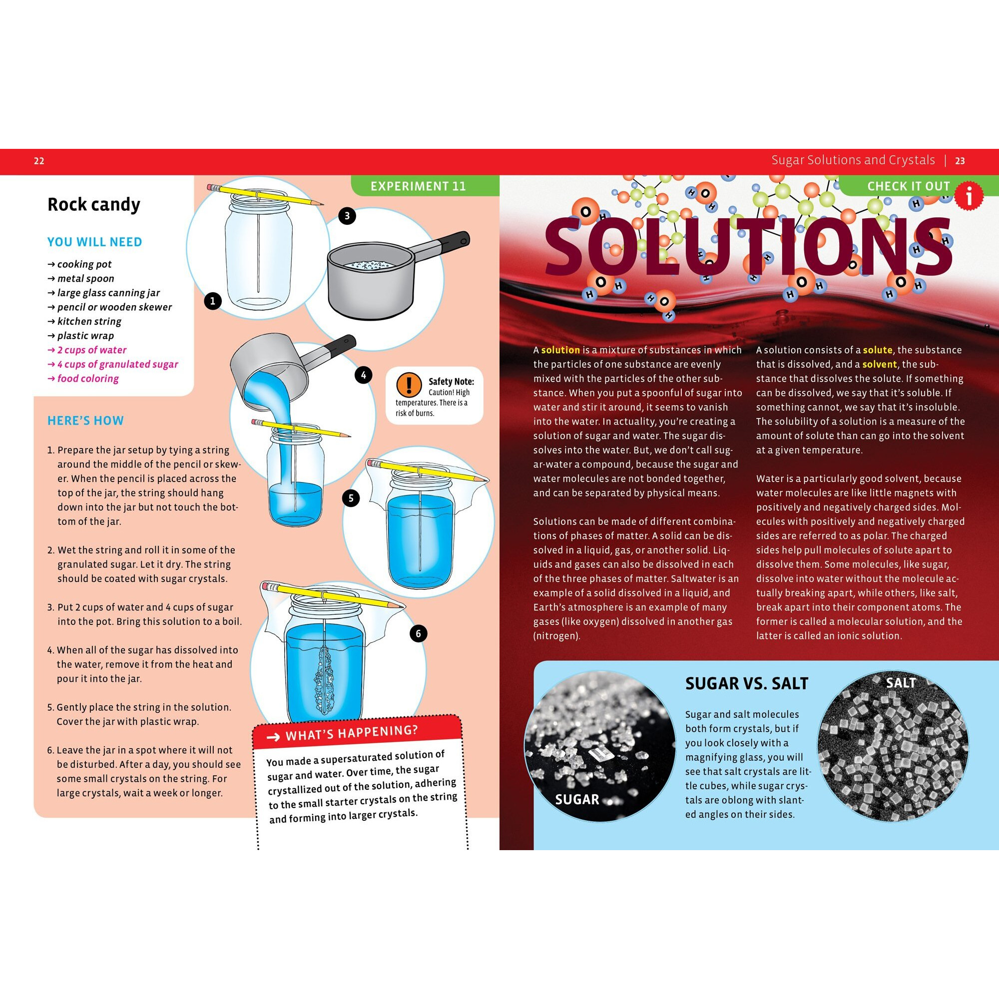 Thames & Kosmos Candy Chemistry | Science Kit | Rock Candy, Chocolates, Gummy Bears, Wintergreen Candies | 48 Page Full-Color Manual | Ages 10+ | Learn Chemistry, Have Fun | Cooking Science