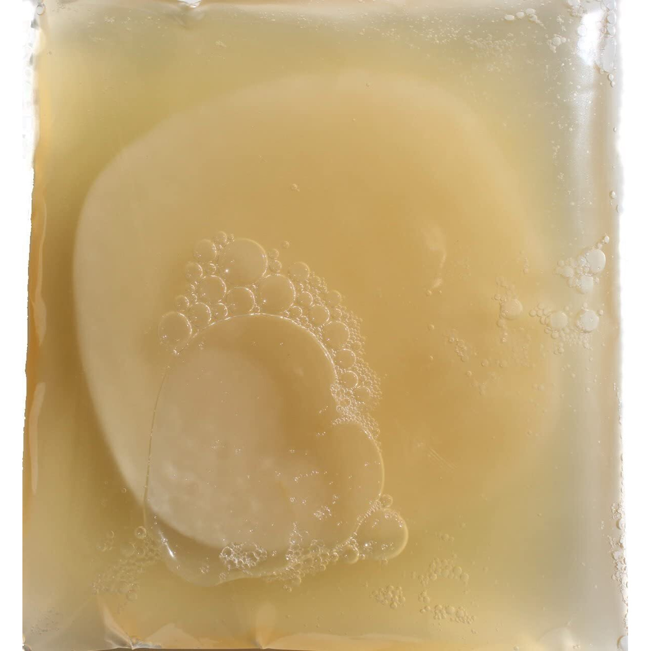 Scoby Kombucha Fba_Lepazc5747 1 X Organic Kombucha Scoby-Live Culture