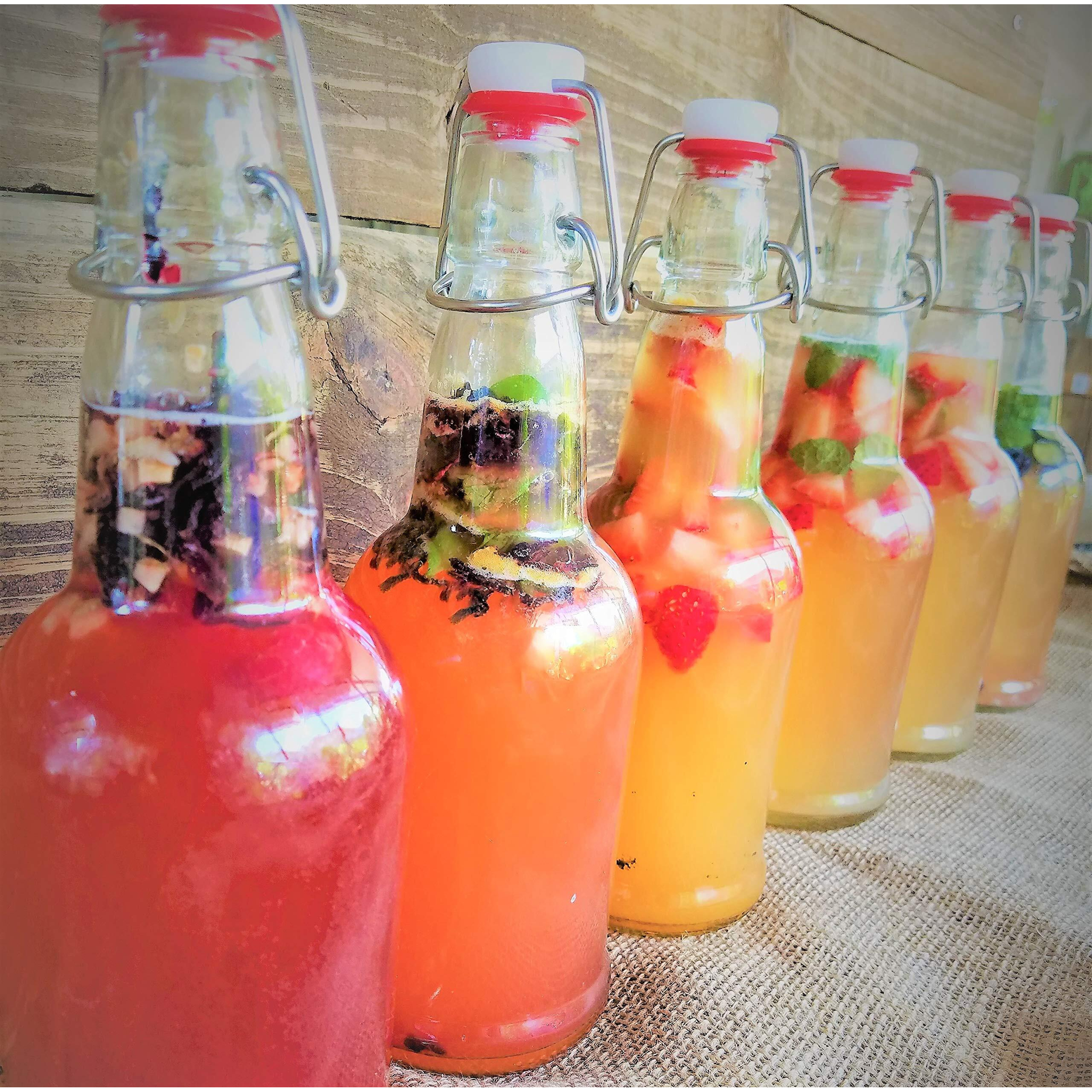 Scoby Kombucha Fba_Lepazc5747 1 X Organic Kombucha Scoby-Live Culture