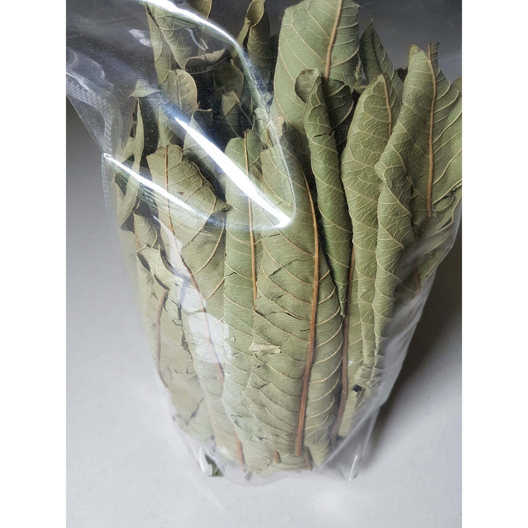 Finfast Dried Guava Leaves (Psidium Guajava) (3 Oz, 100+ Leaves)