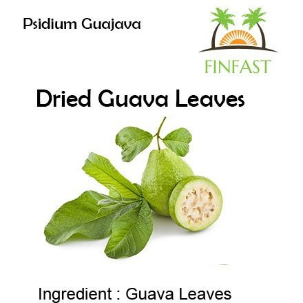 Finfast Dried Guava Leaves (Psidium Guajava) (3 Oz, 100+ Leaves)