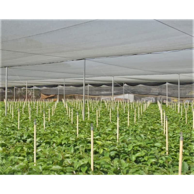 Cafe Crema Medium Roast Ground Puerto Rican Coffee, 14 Ounce Bag (Pack Of 2)