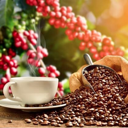 Lion Coffee 24K Gold Roast 100% Kona Ground Coffee, Medium-Light Roast, A Taste Of Aloha - 7 Ounce Bag