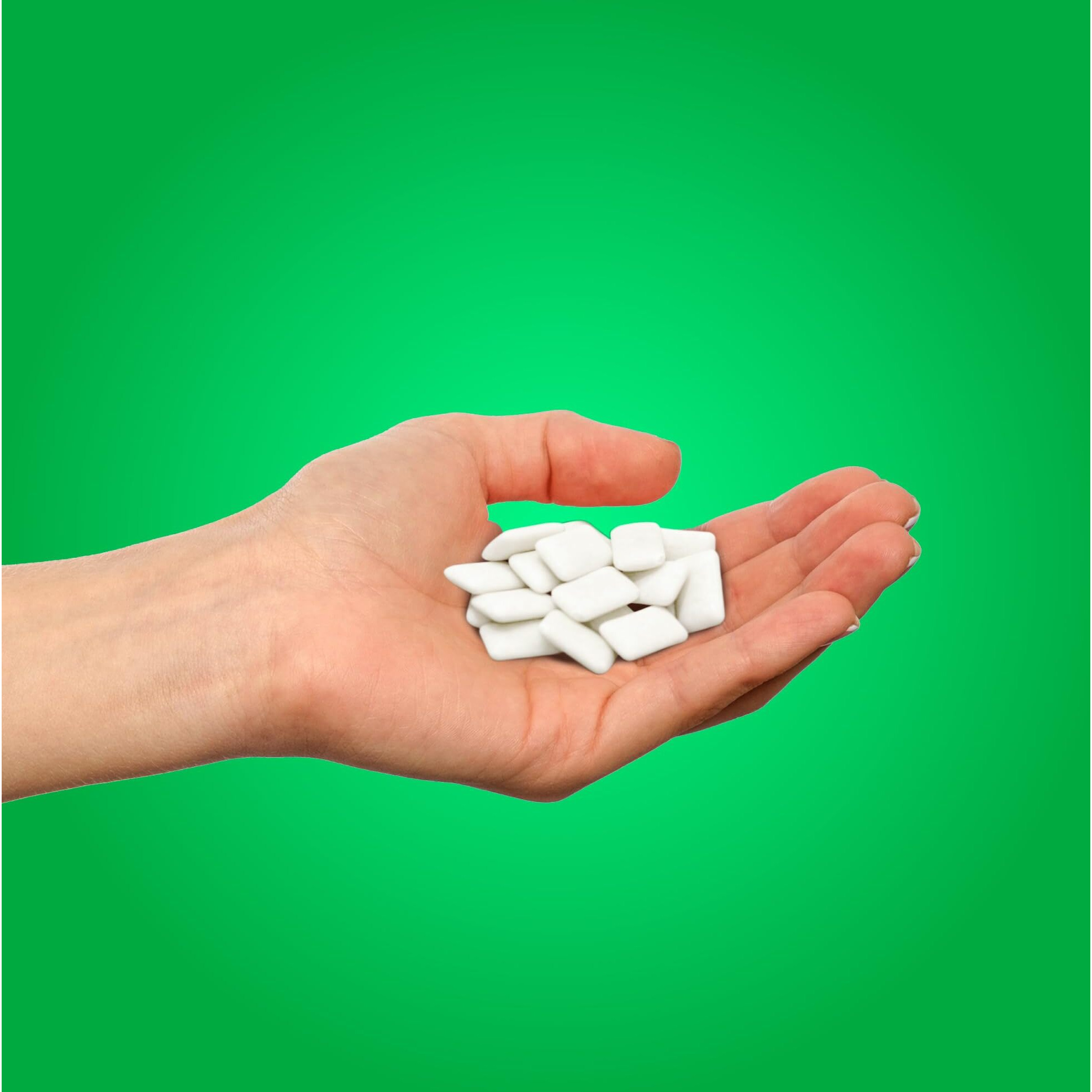 Pur Gum | Aspartame Free Chewing Gum | 100% Xylitol | Natural Spearmint Flavored Gum, 55 Pieces (Pack Of 3)
