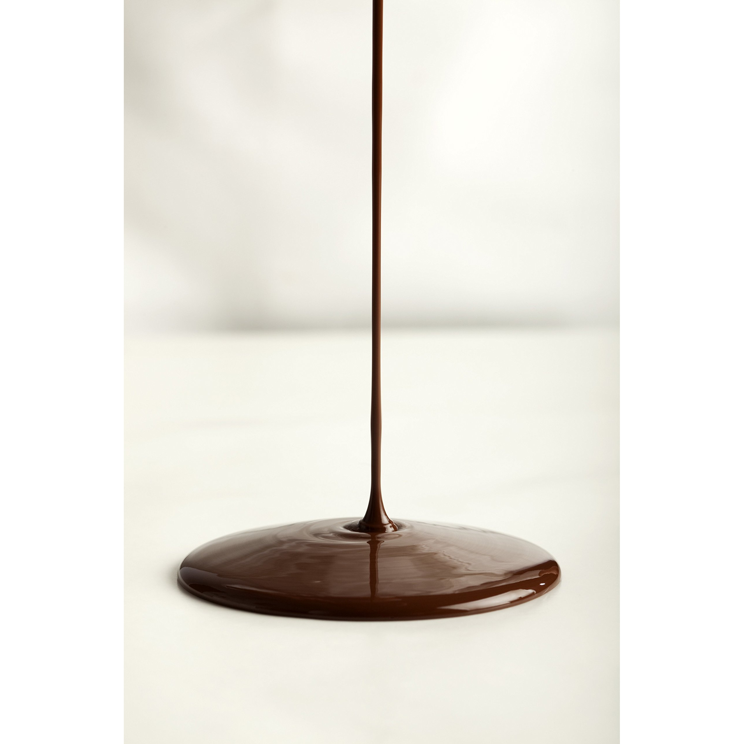 Hollander Dutched Chocolate Caf   Sauce | Vegan Friendly, Gmo-Free, Gluten/Soy Free, Corn Syrup Free |15 Fl. Oz. Squeeze Bottle