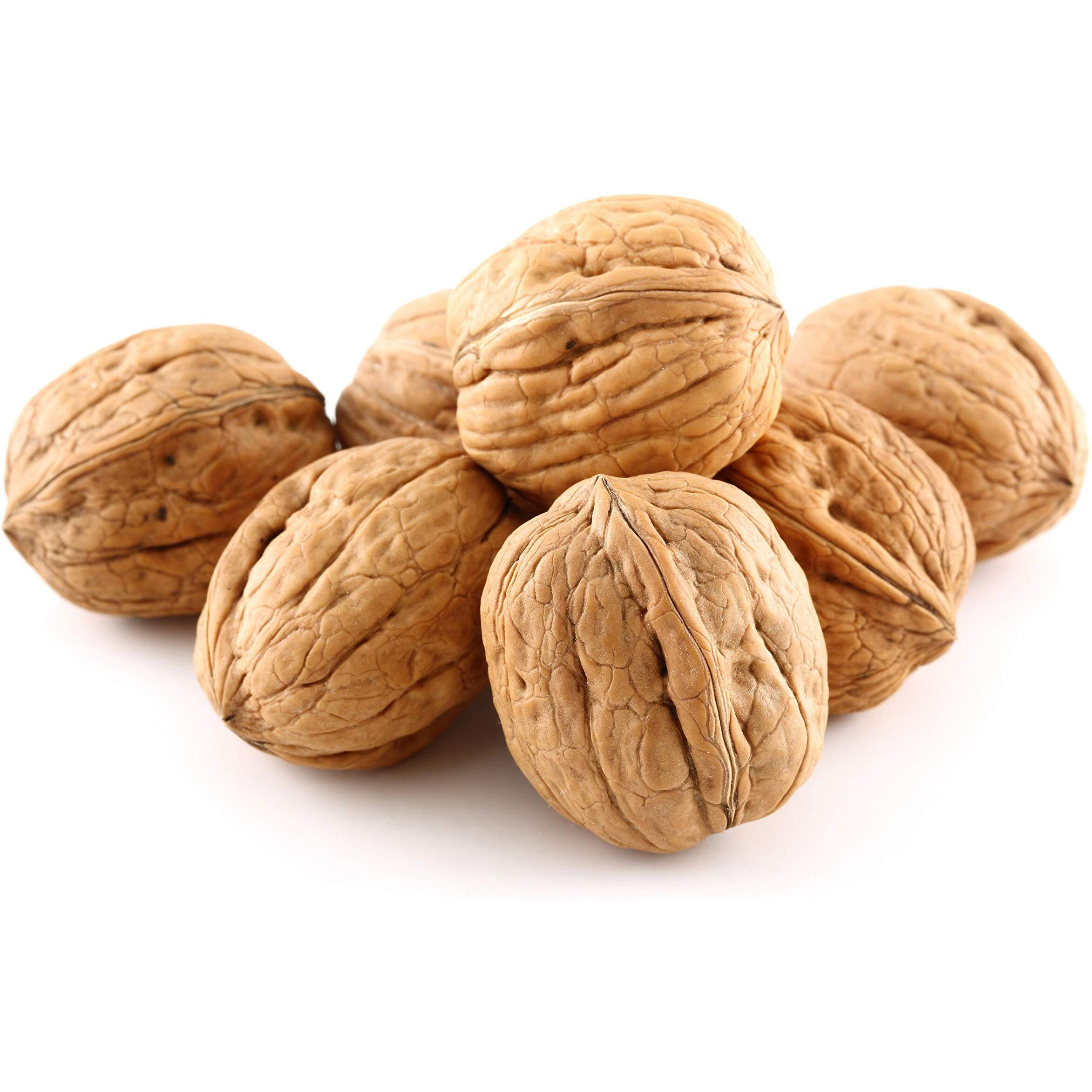 Anna And Sarah Walnuts In Shell, Jumbo, Fresh, Buttery Taste, Easy To Crack, California Chandler, Natural Shells, Not Bleached 5.5 Lbs