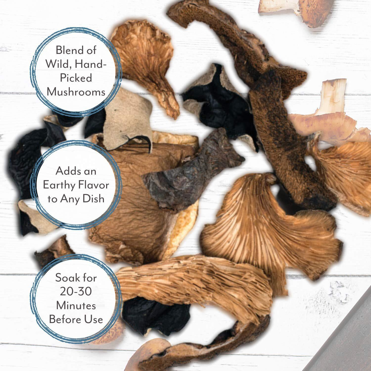 Roland Foods Dried Mixed Wild Mushrooms Specialty Imported Food ,16 Ounce (Pack Of 1)