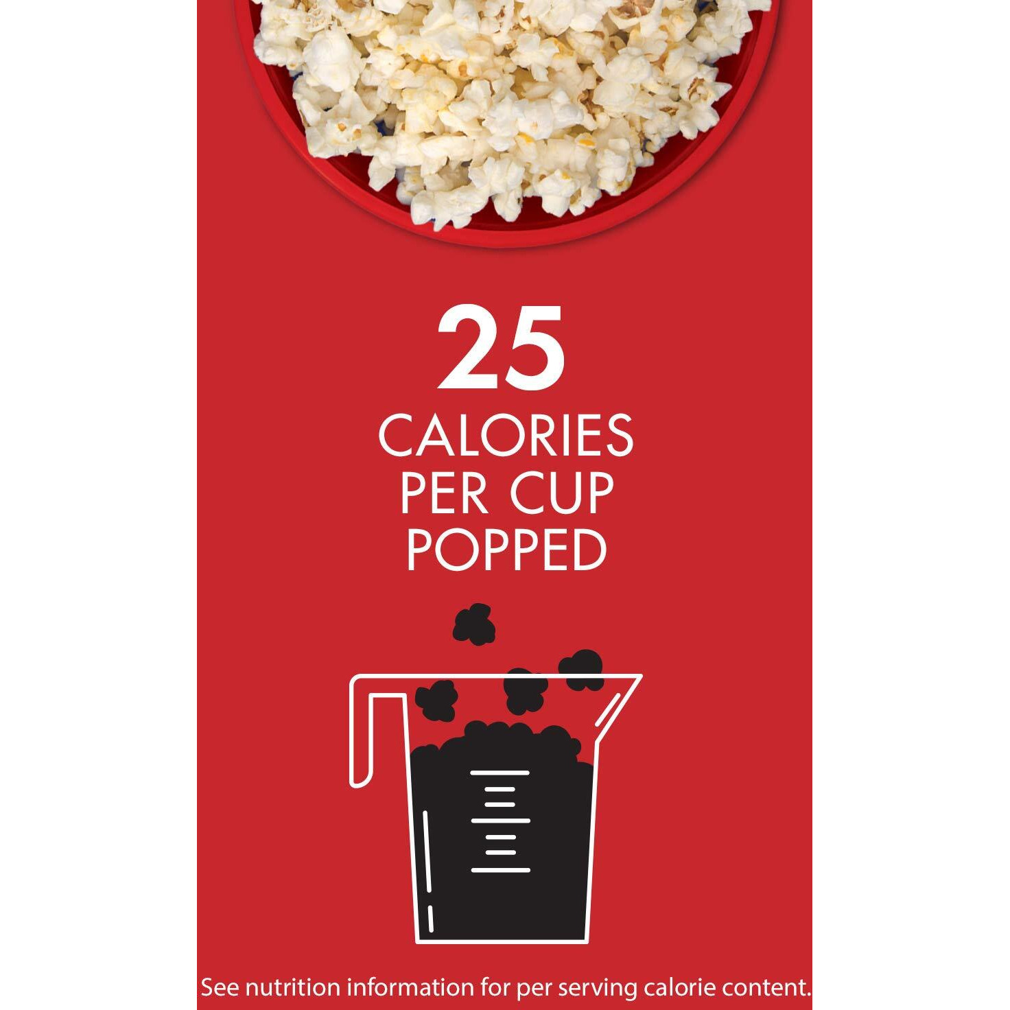 Skinny Girl Lime & Salt Popcorn 10 Mini Bags, 15Oz