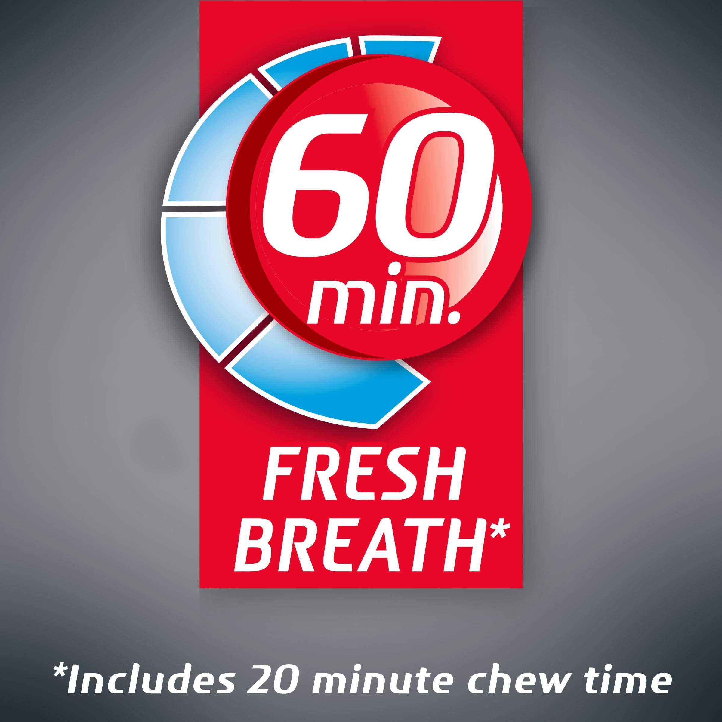 Dentyne Ice Sugar Free Gum (Arctic Chill 60 Piece Pack Of 4)