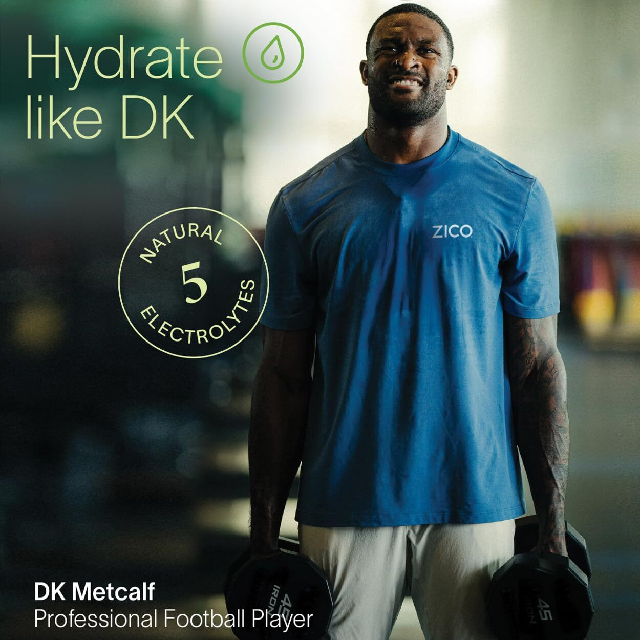 Zico 100% Coconut Water, No Added Sugar, Refreshingly Delicious, Hydration With Electrolytes, 16.9 Fl Oz (Pack Of 12)