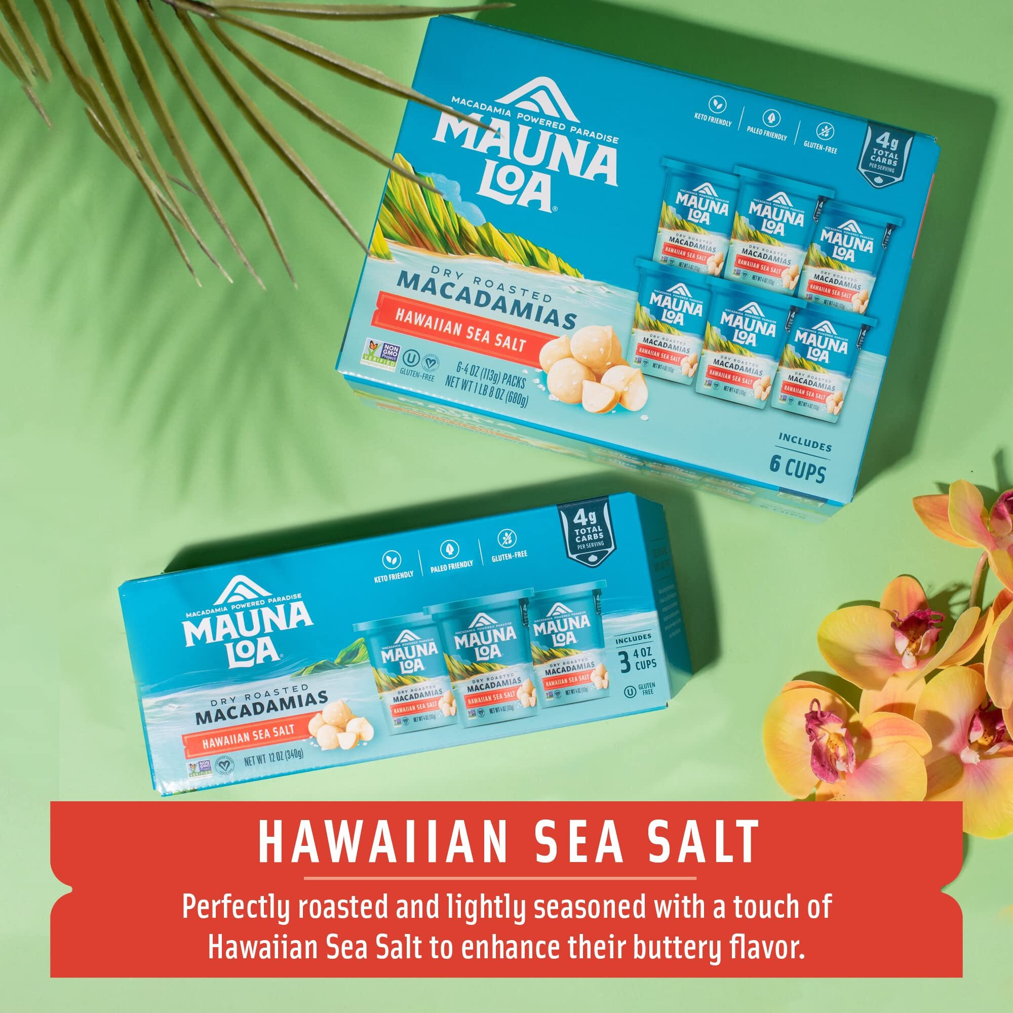 Mauna Loa Premium Hawaiian Roasted Macadamia Nuts, Hawaiian Sea Salt Flavor, 4 Oz Cup (Pack Of 6)