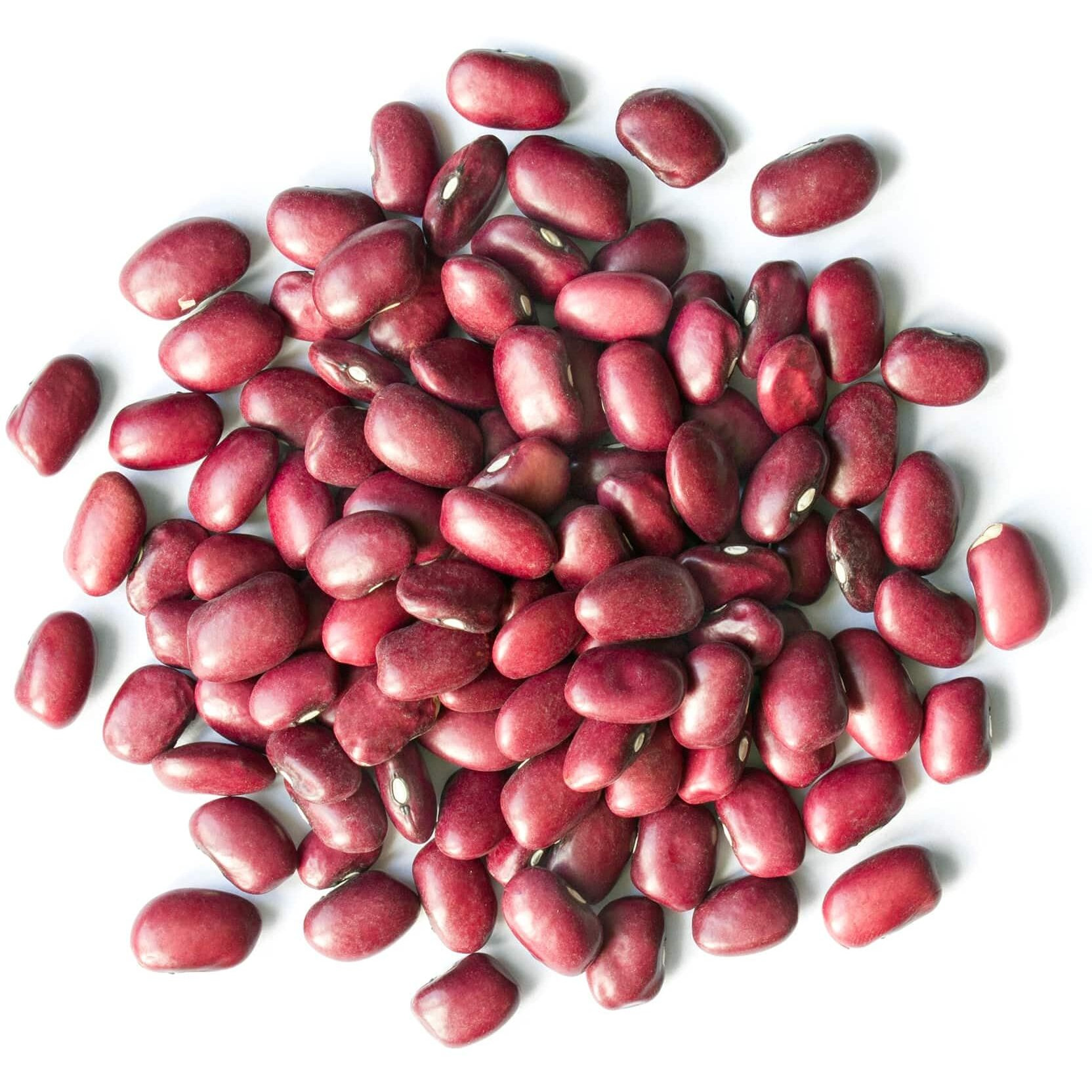 Food To Live - Adzuki Beans, 3 Pounds Whole Dried Azuki Beans (Red Mung Beans), Raw, Vegan, Kosher, Sproutable, Bulk. Rich In Minerals, Dietary Fiber And Protein.
