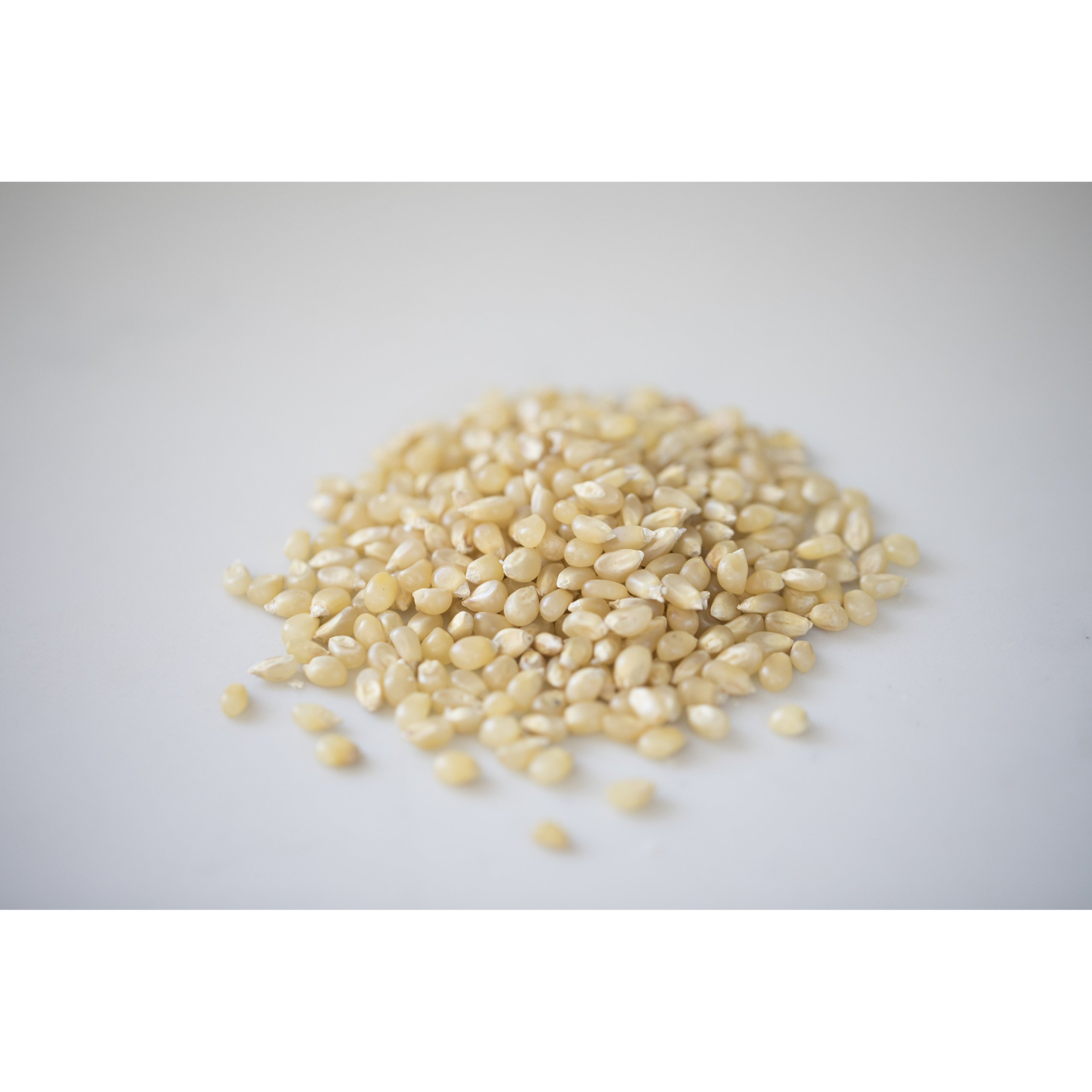 Amish Country Popcorn | 2 Lb Bag | Baby White Popcorn Kernels | Small And Tender | Old Fashioned, Non-Gmo And Gluten Free (Baby White - 2 Lb Bag)